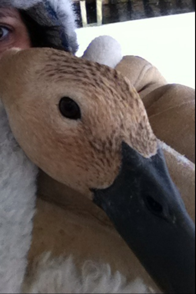 Gertie is a sweetie