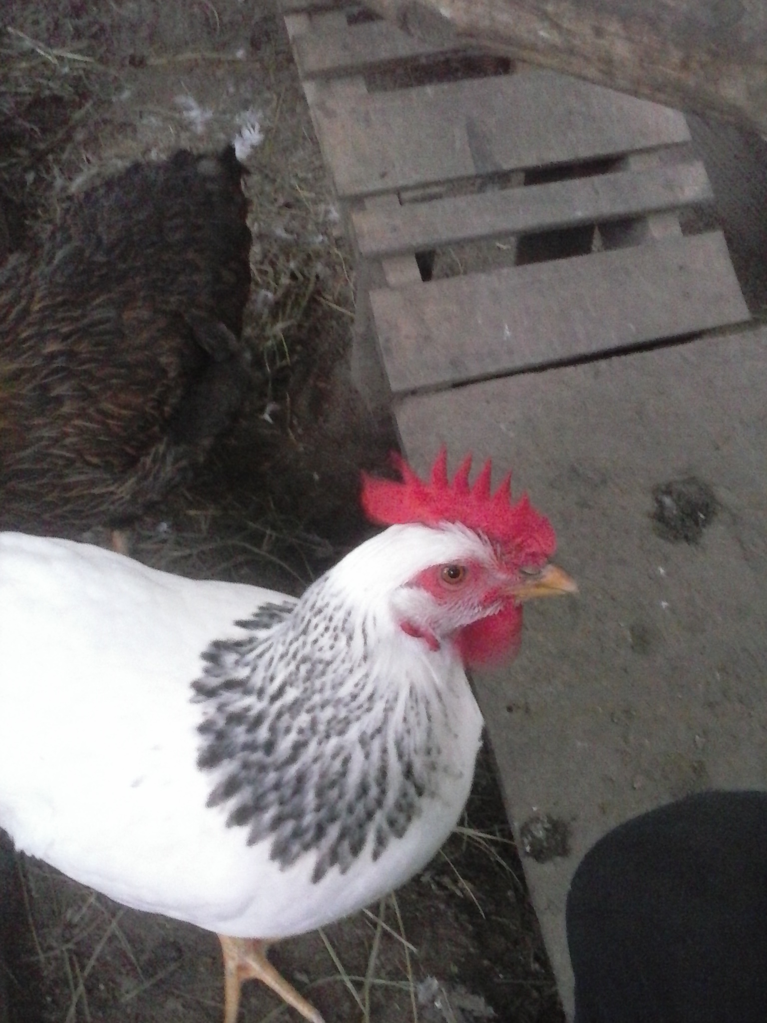 get my good side