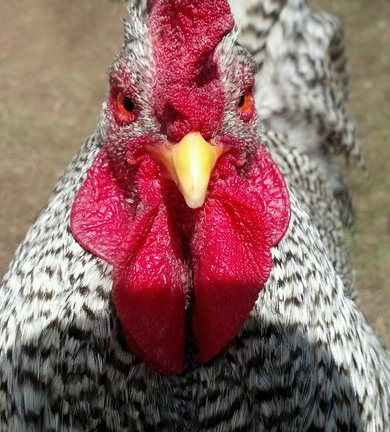 Get that camera outta my FACE!