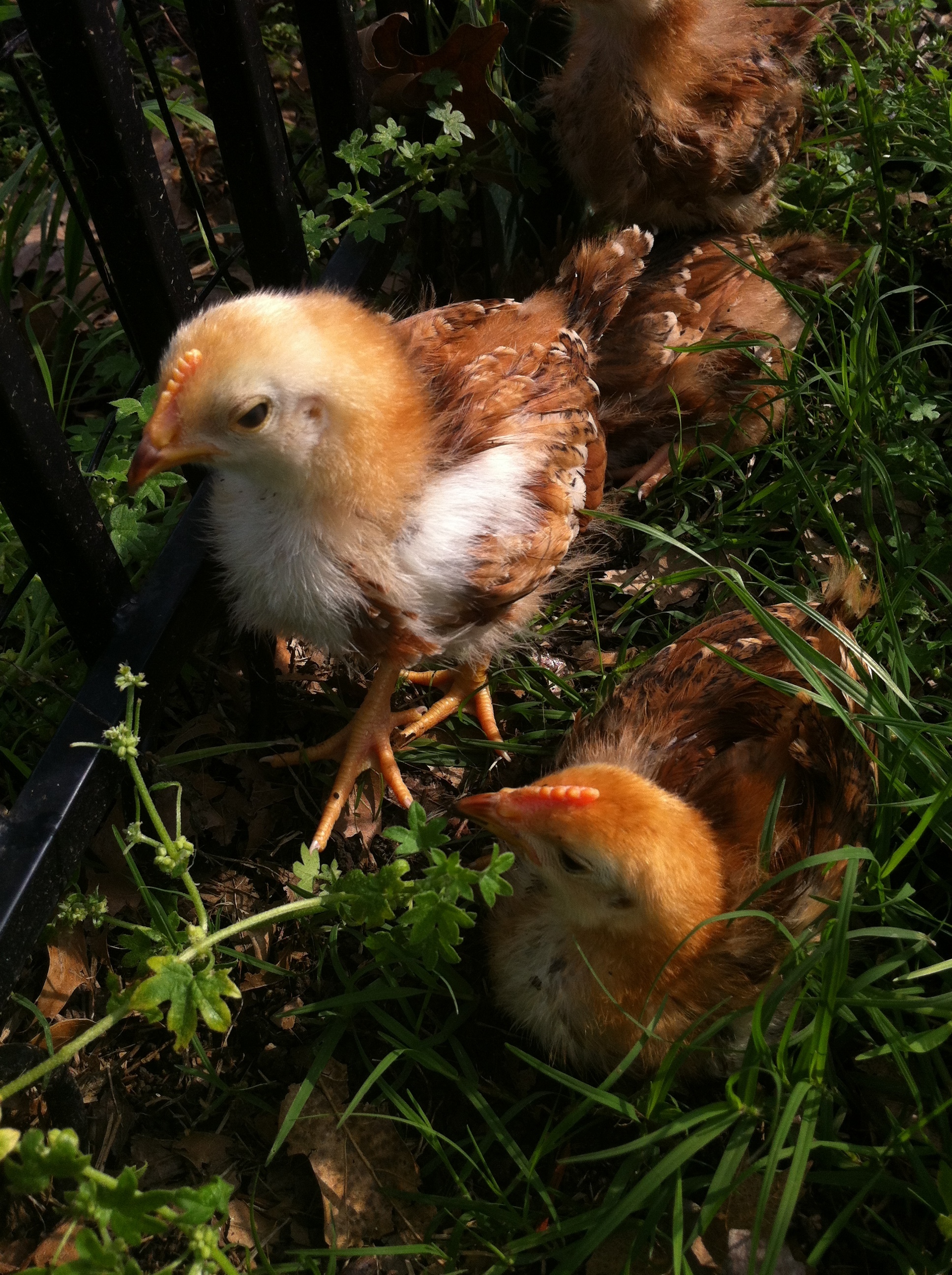 Getting kind of cocky