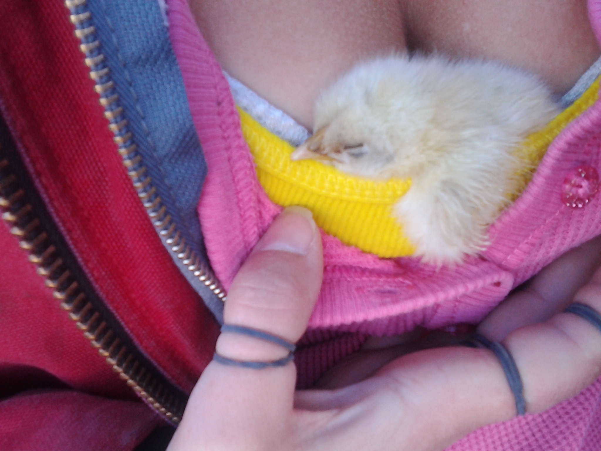 getting nice cozy... "Hangin out with my wing out" ;-)