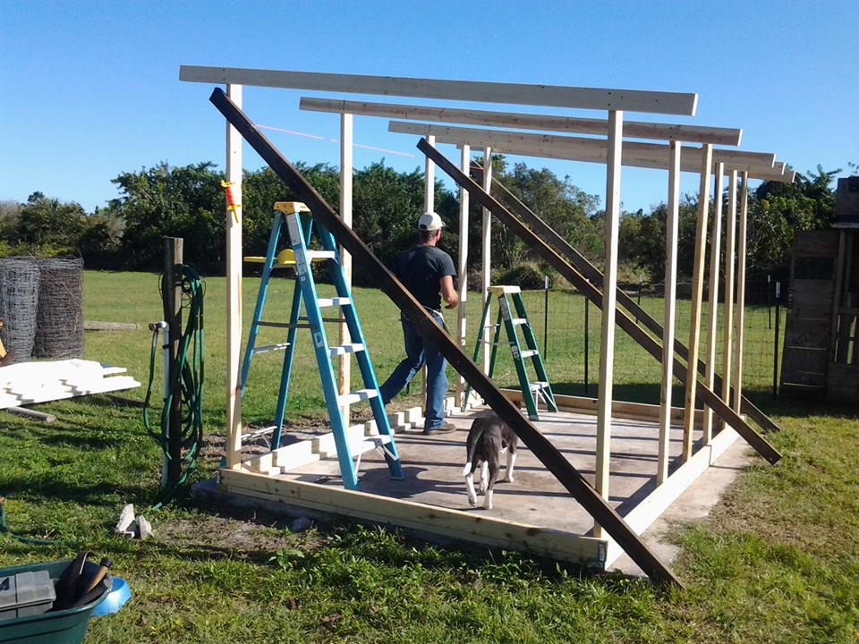 Getting started with the framing*