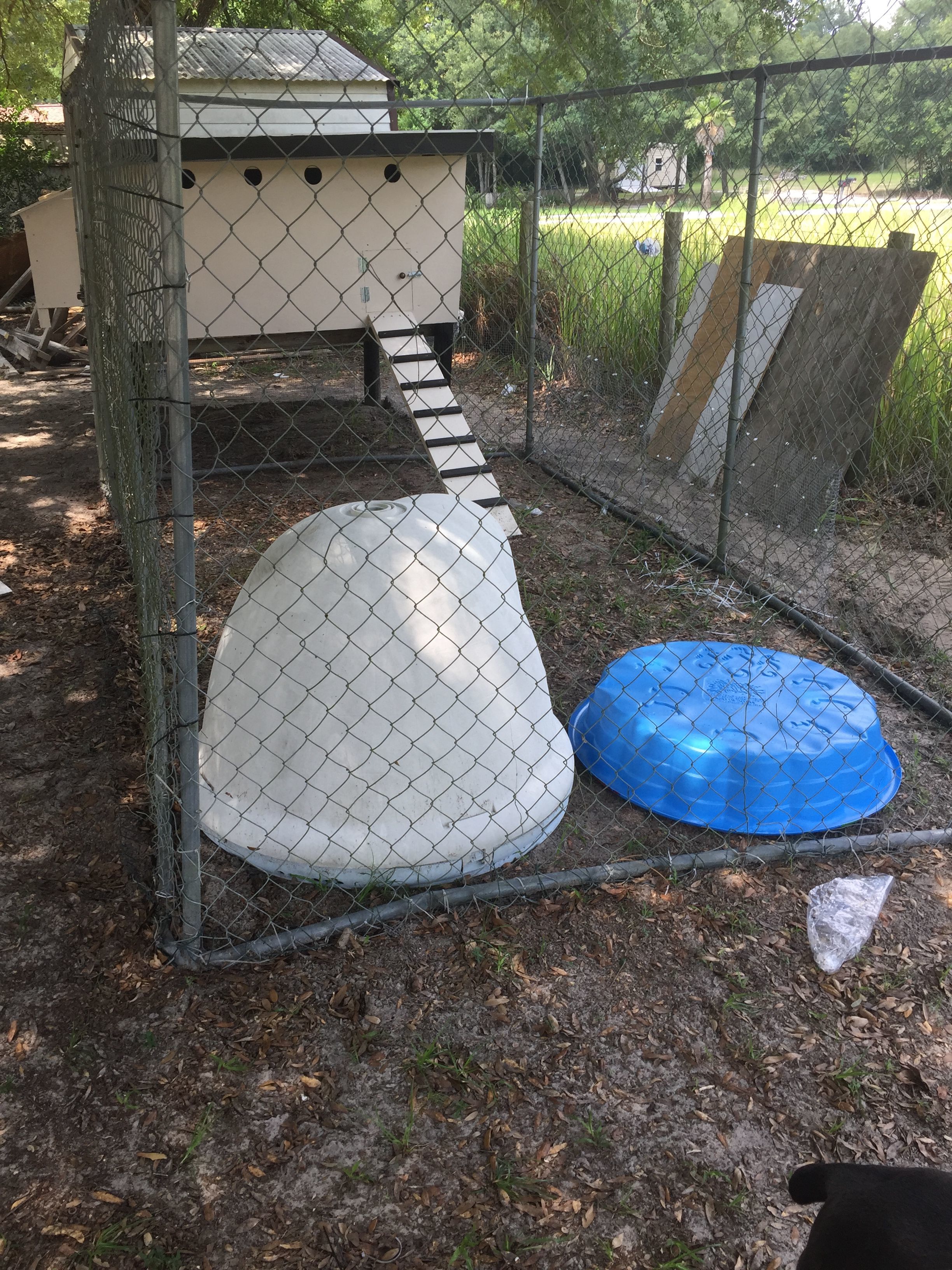 Getting the coop ready.