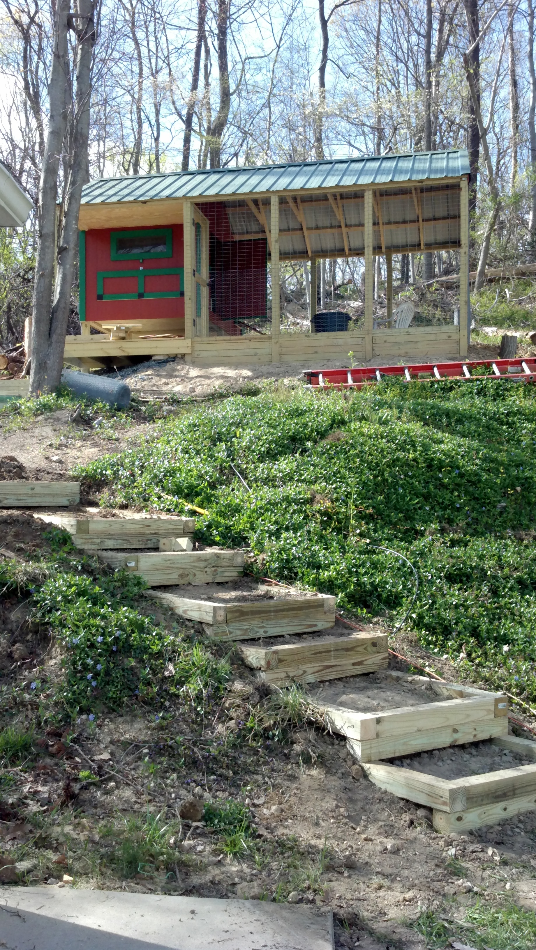 Getting the finishing touches completed. Digging out the steps to the coop and will back fill with gravel.