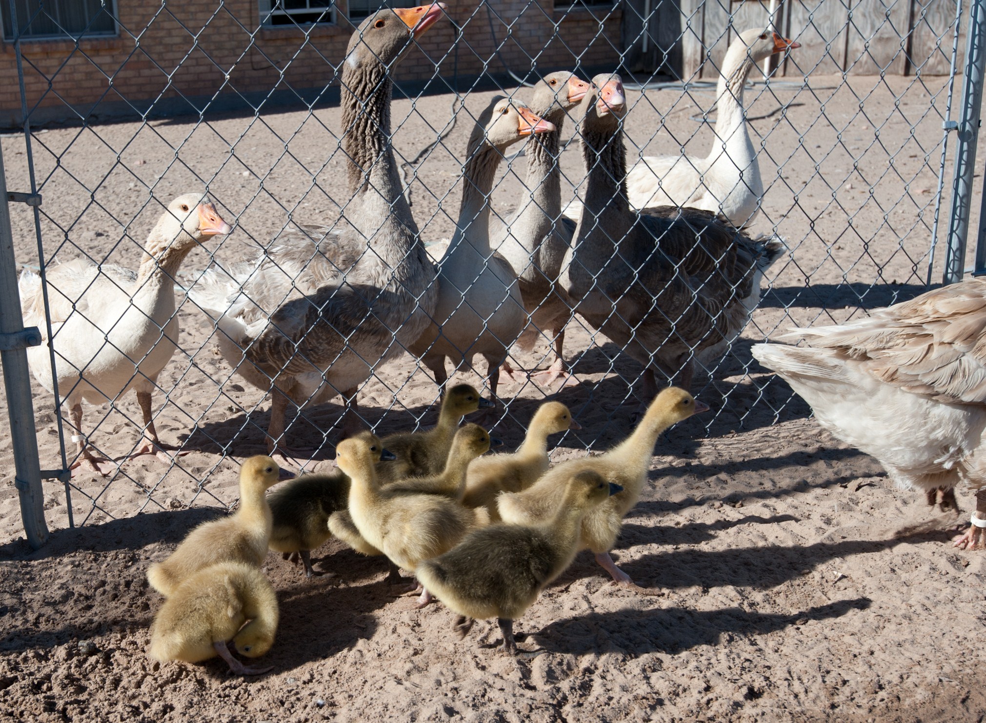 Getting to know each other the "safe" way