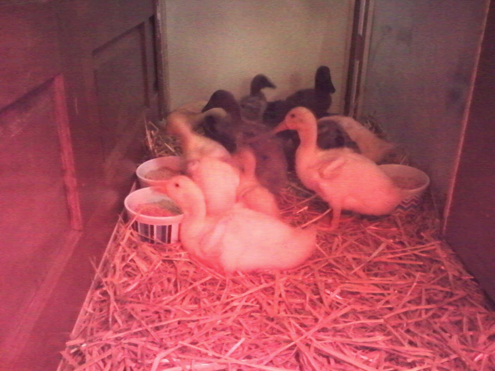 Getting to know the new sleeping quarters.