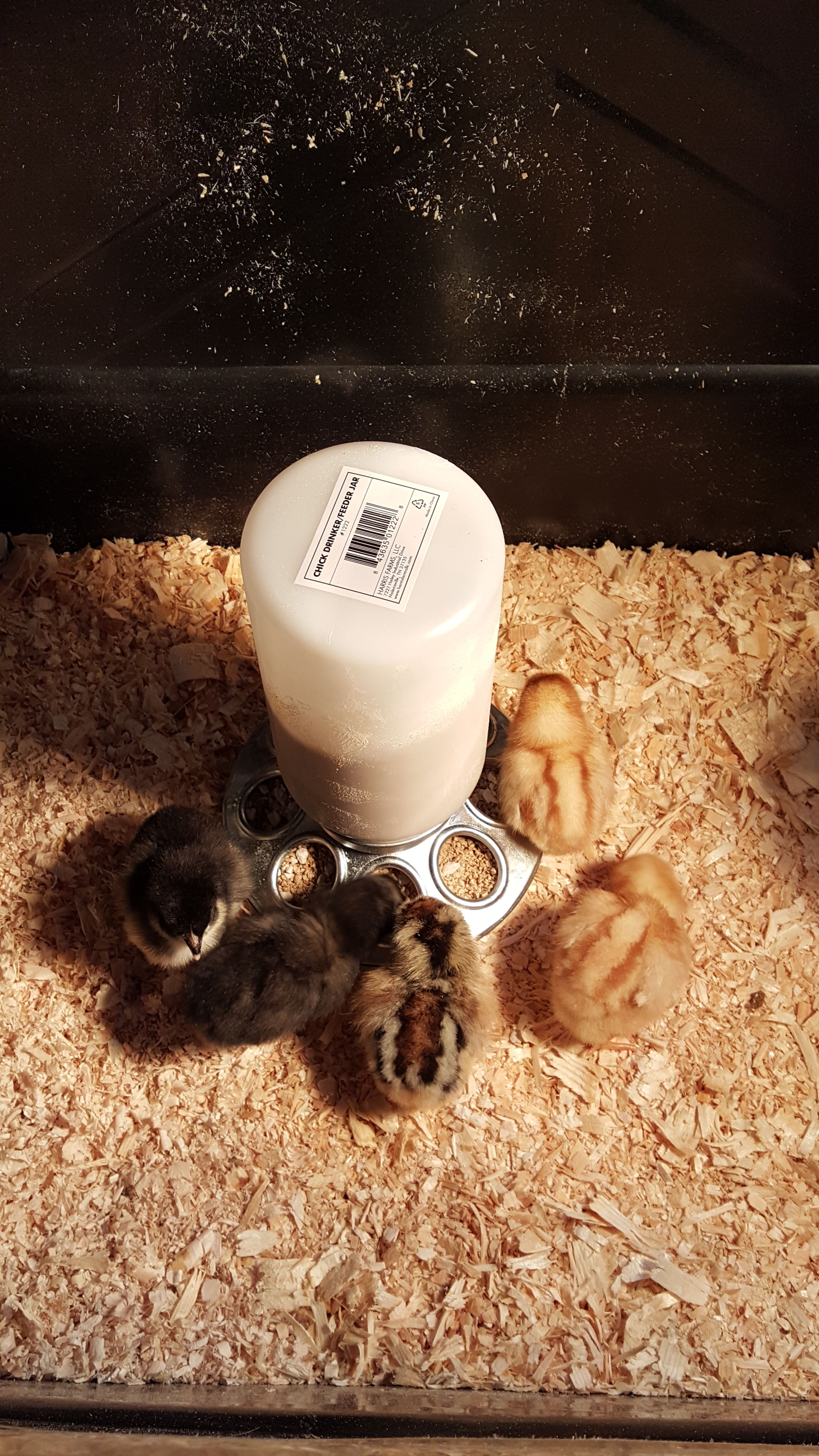 Getting to know there home for the time being.