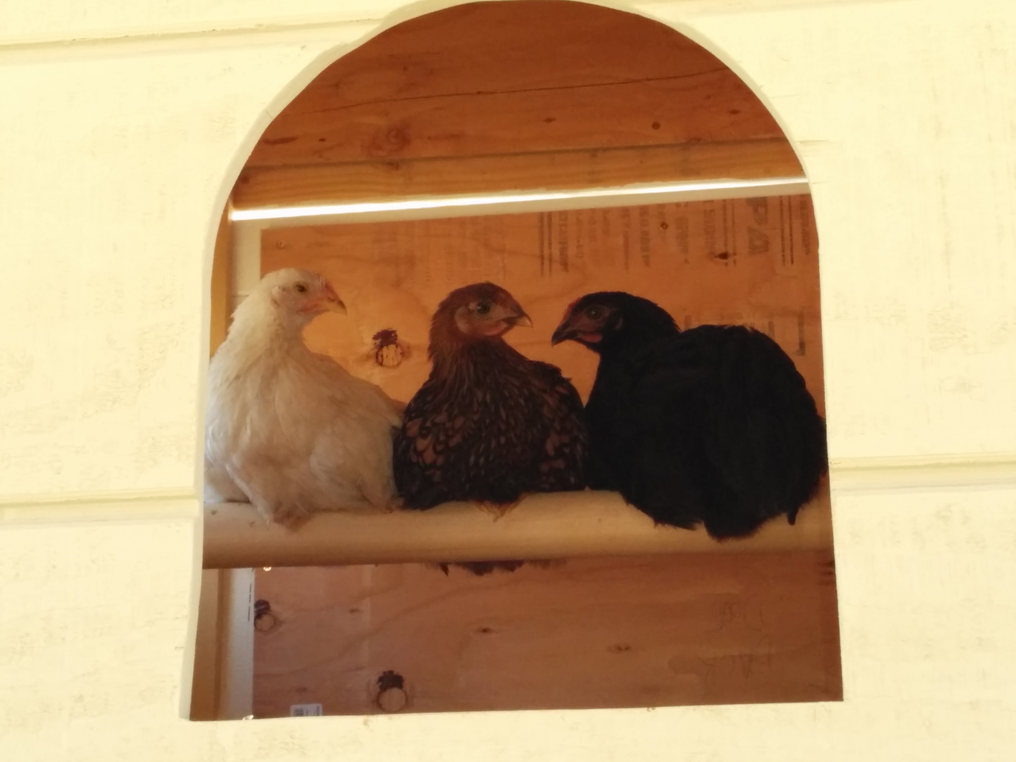 Getting use to the new accommodations