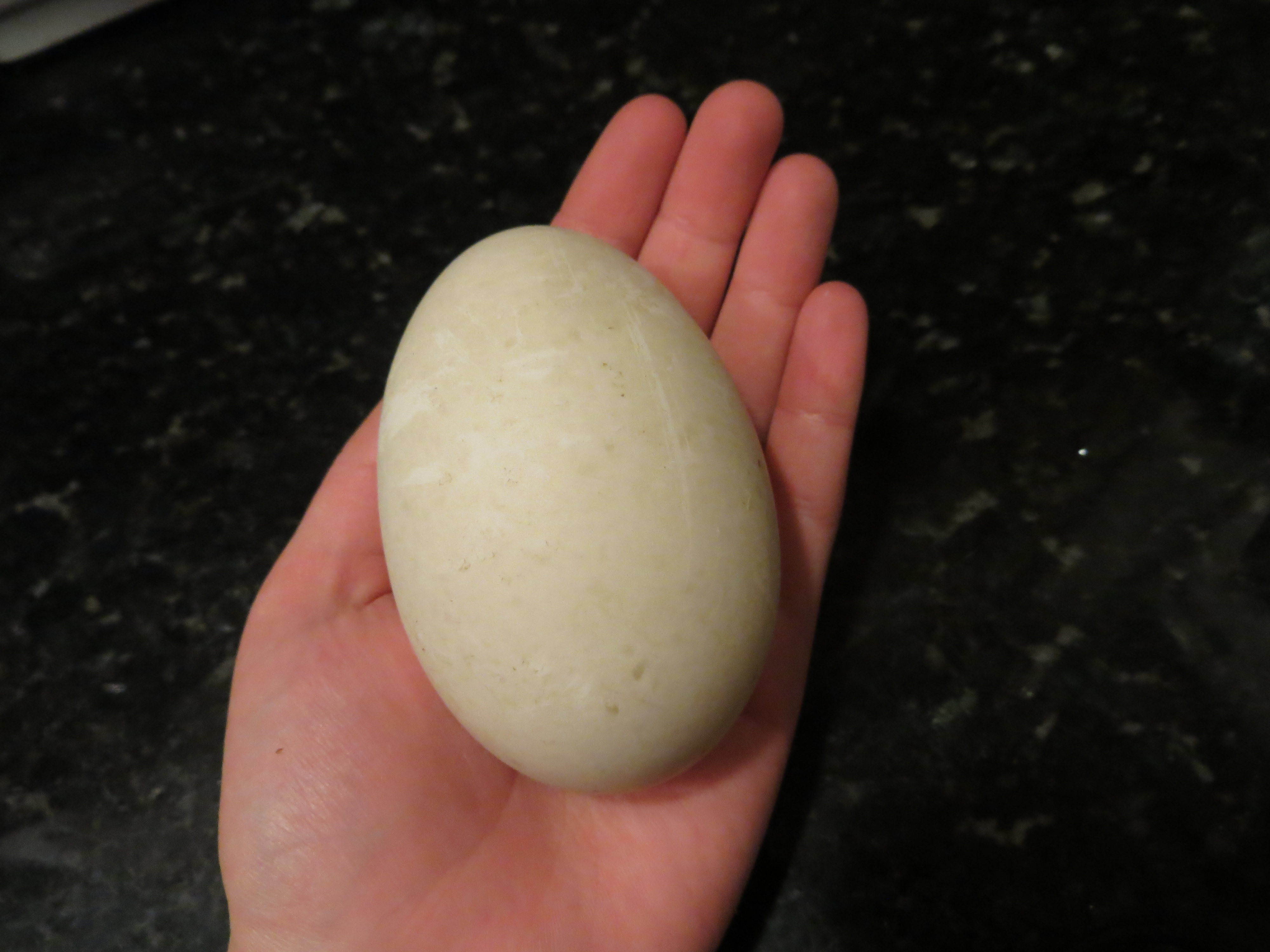 Giant 147 gram egg!