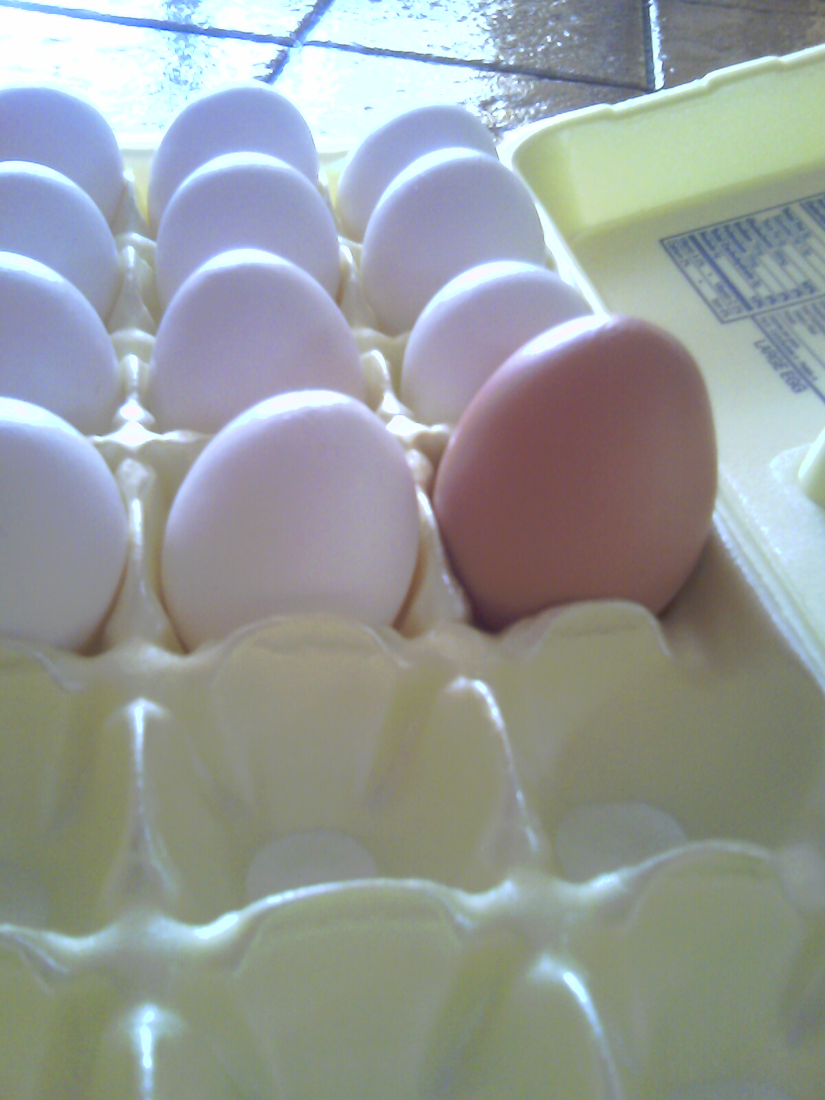 giant egg from one of them.