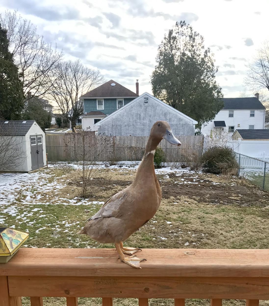 Gil enjoys the warm weather