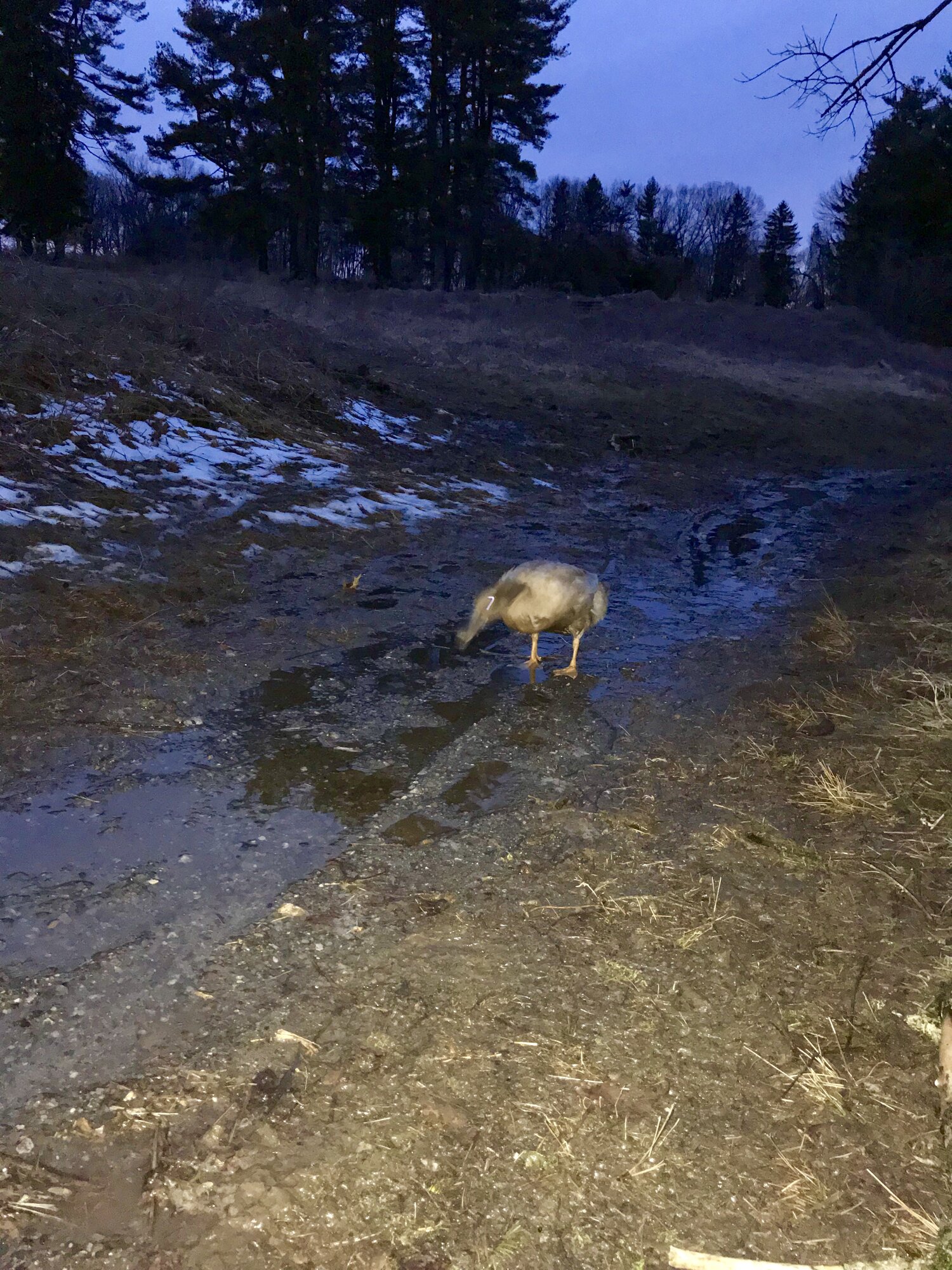 Gil takes on nature trail