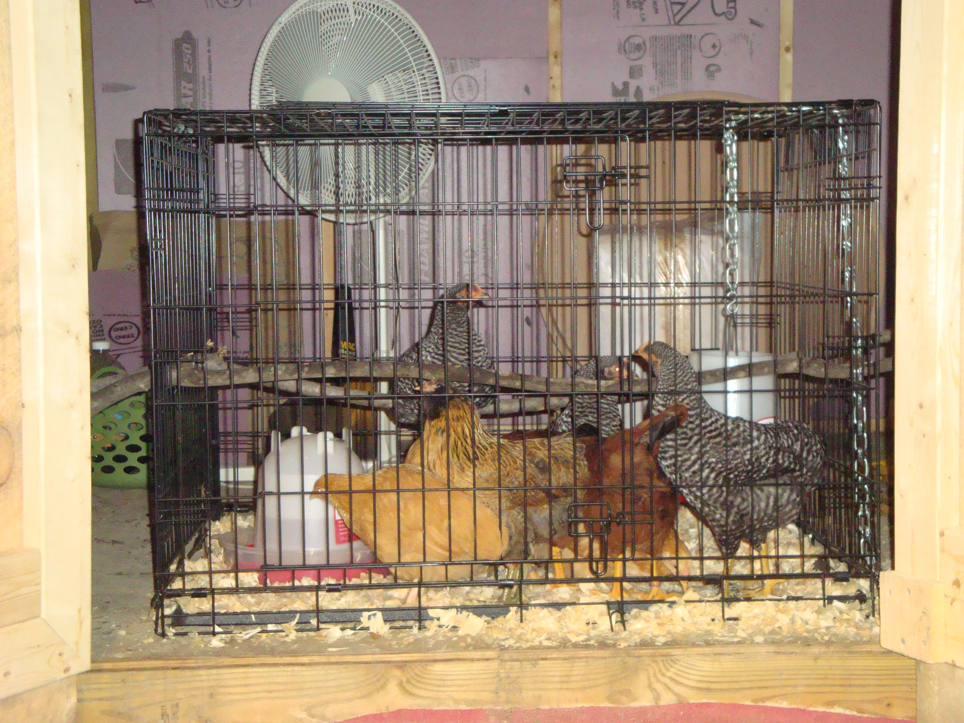 Girls first night in...VERY confused.