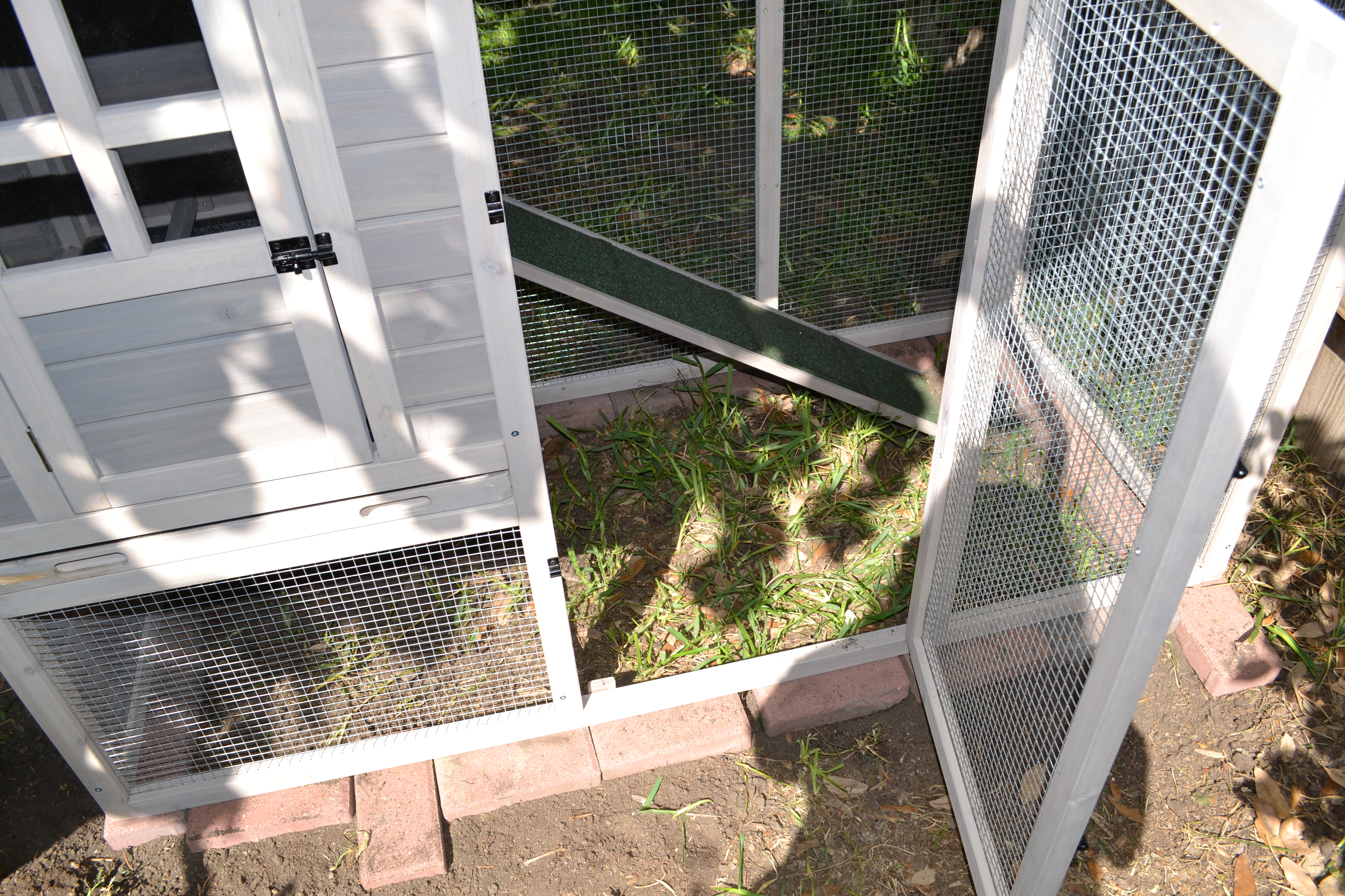 Glad to see how quickly they learned the ramp -- considering where they came from.