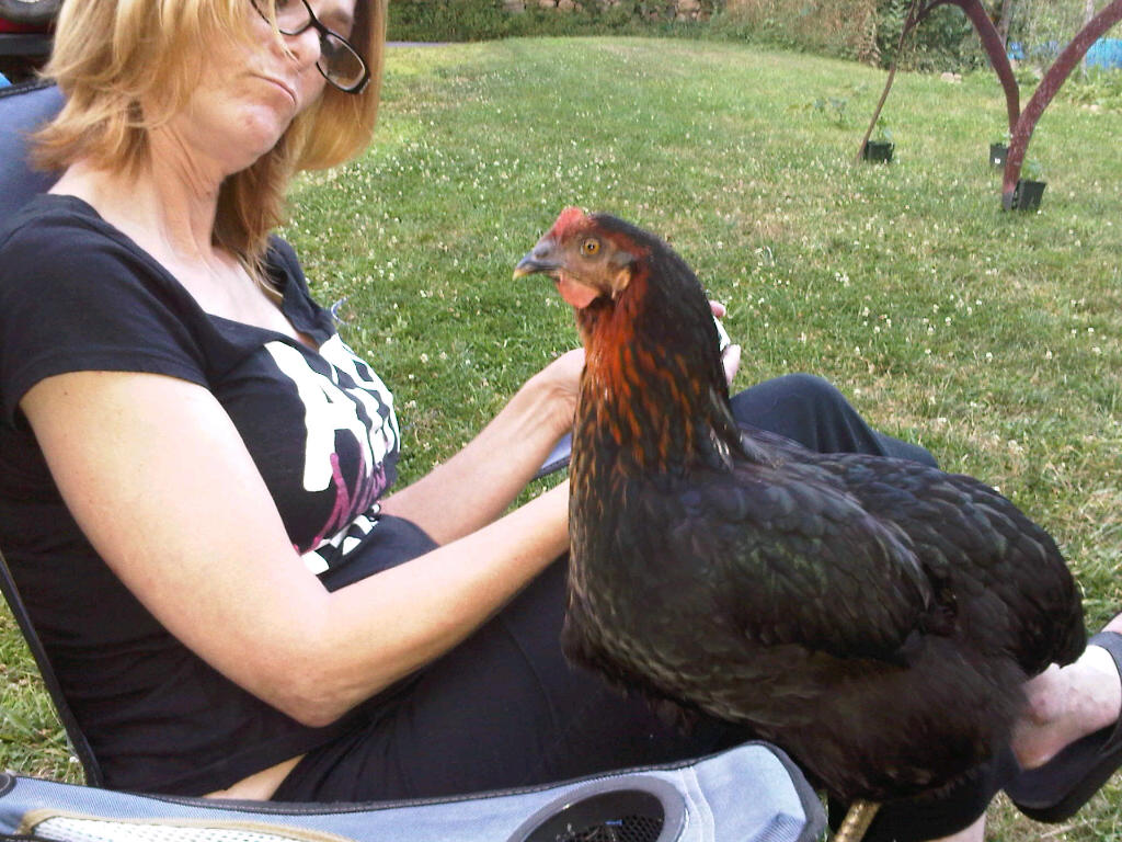 Gladys.jpg This is Gladys and my wife Terri, I think she laid the egg......Gladys not Terri.