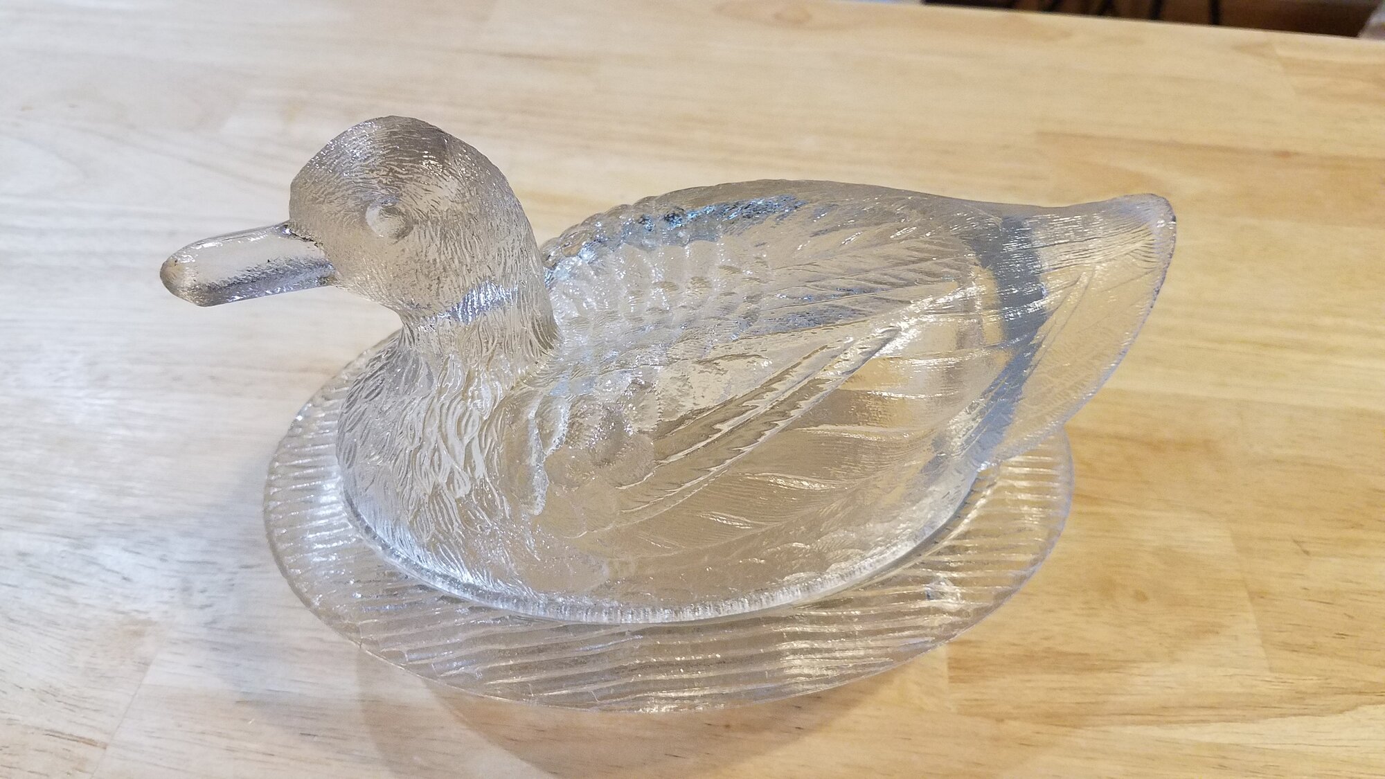Glass Duck