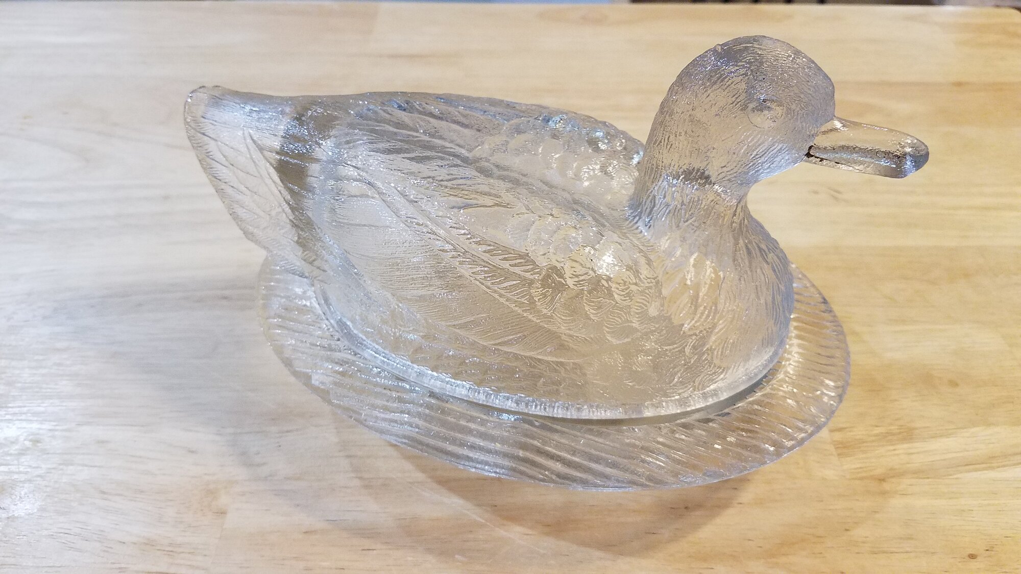 Glass Duck