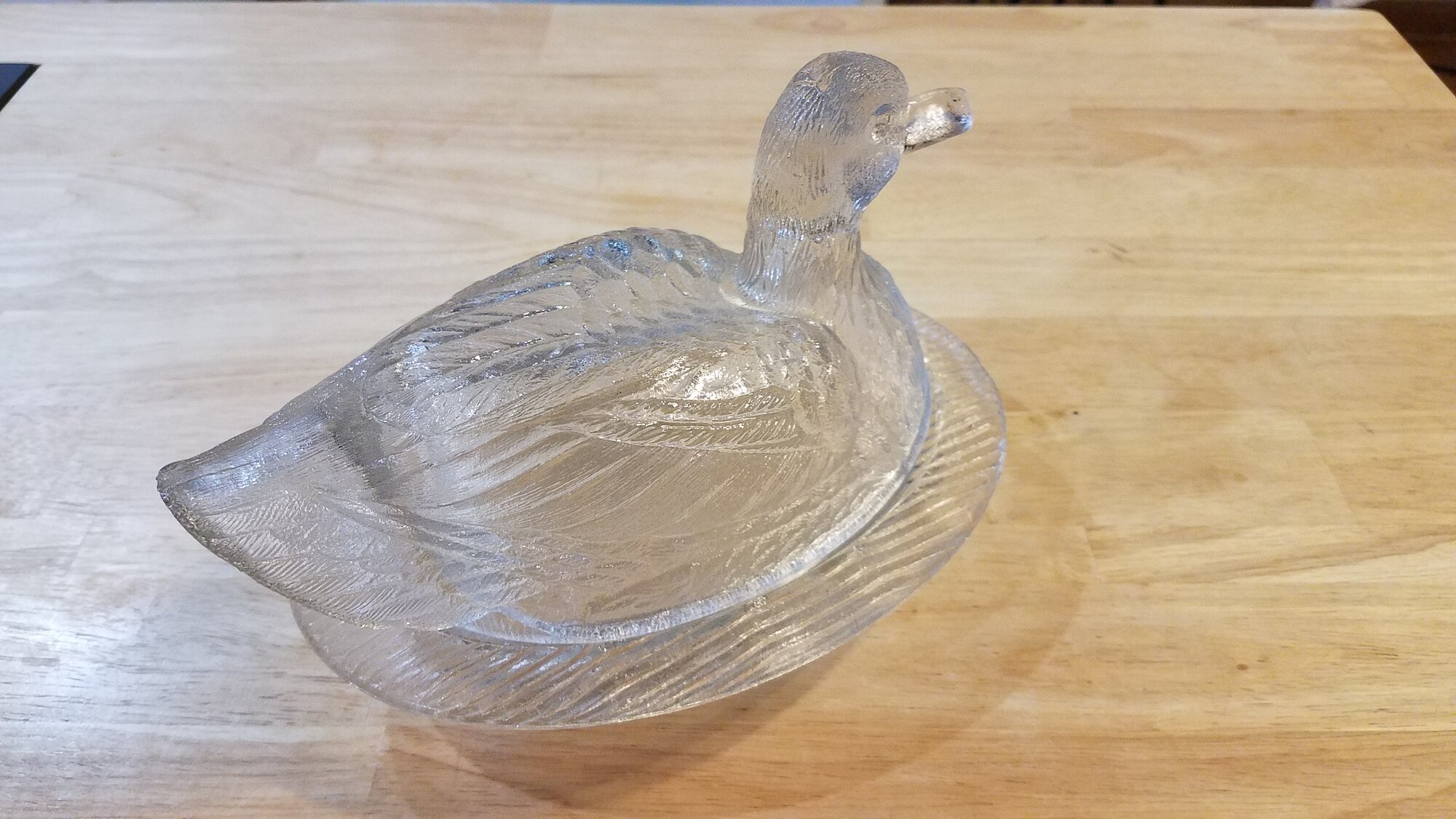 Glass Duck