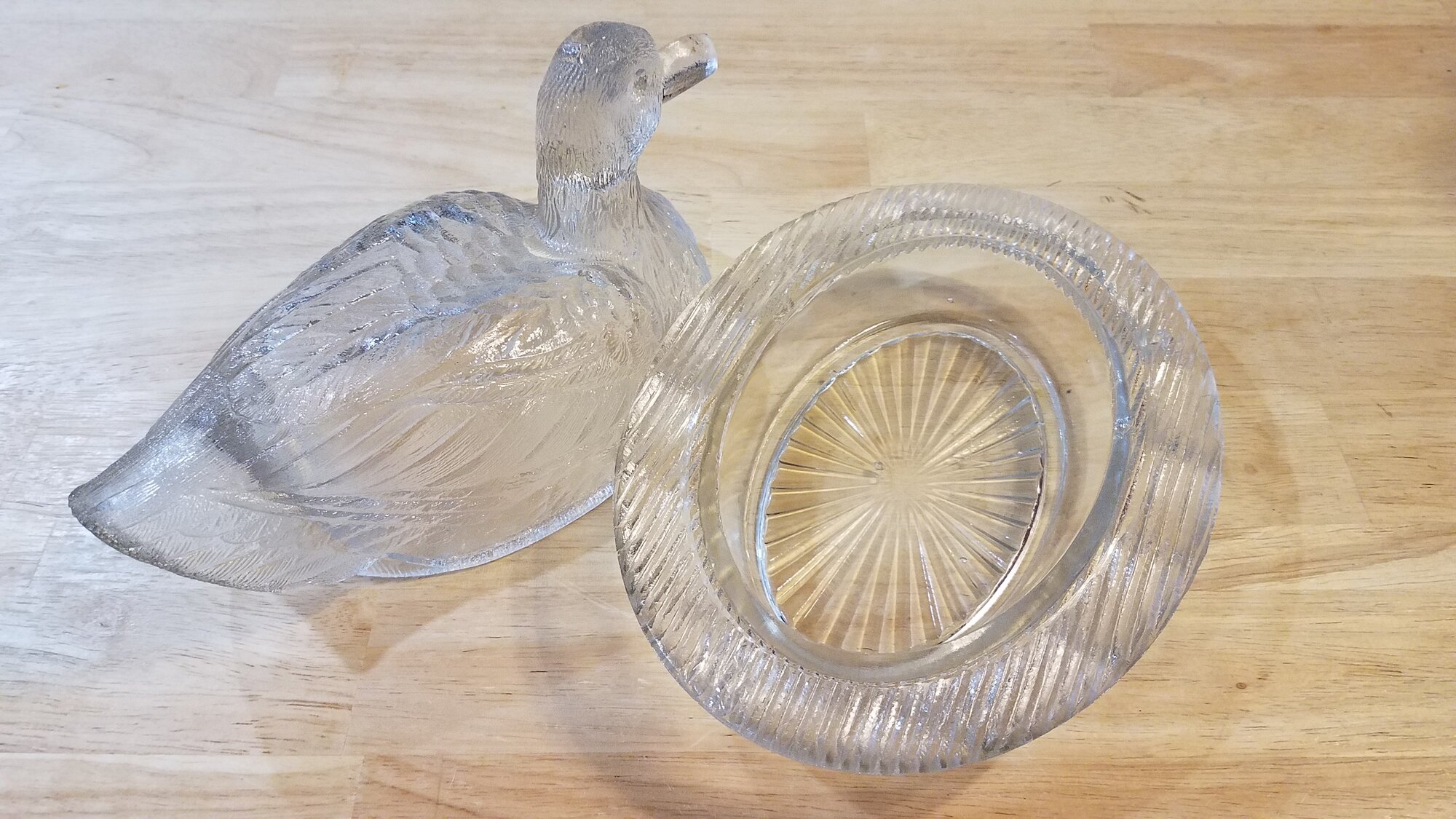 Glass Duck