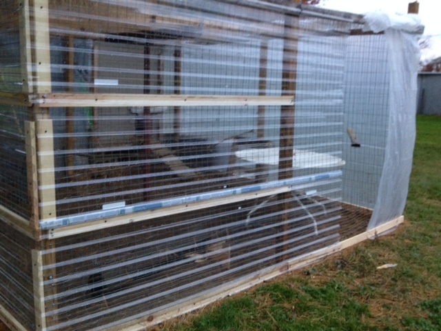 Glazing being applied to south side of run.