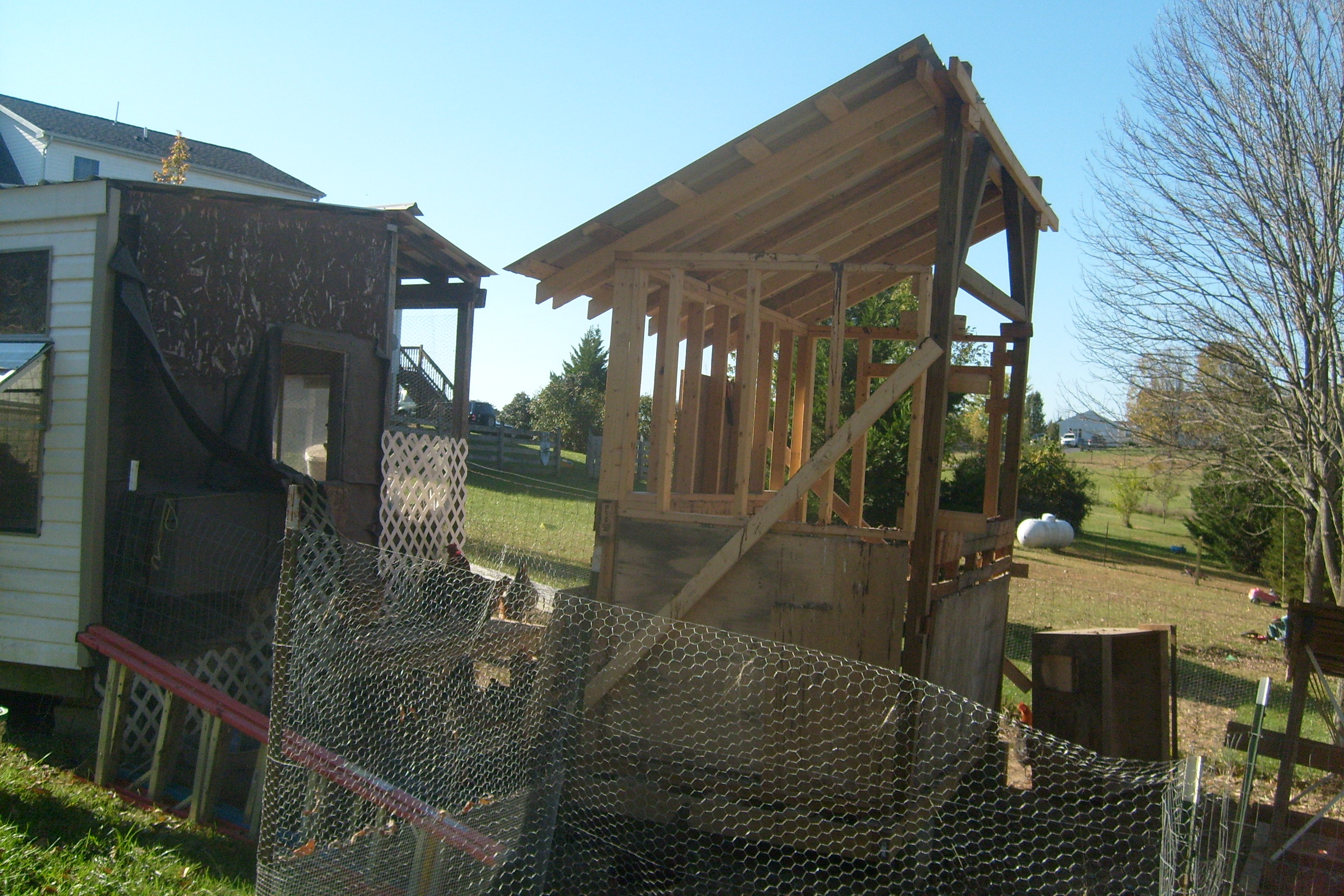 going to add a glass walkway from one coop to another.It's gonna be about 6' tall