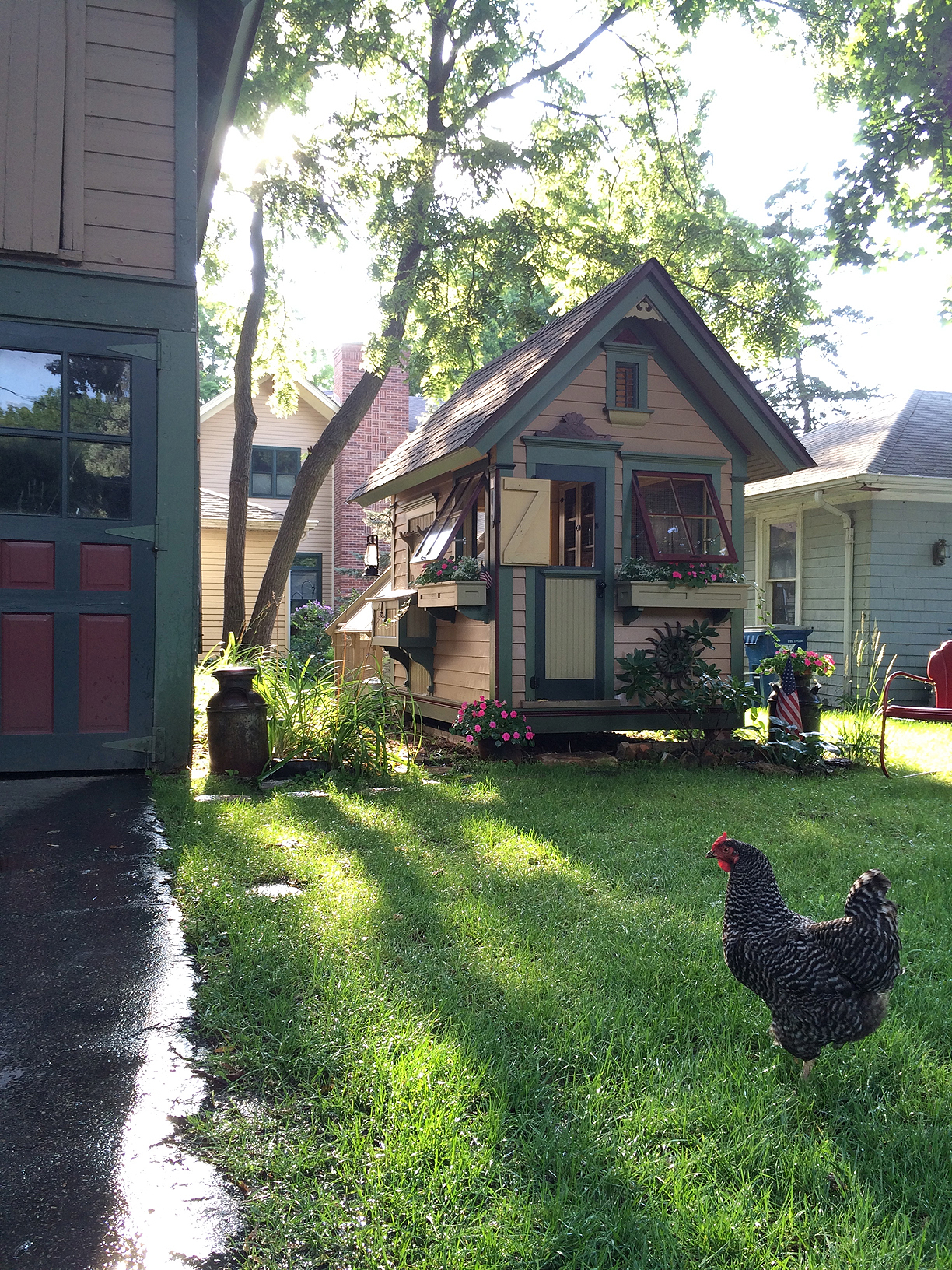 Going to miss summer, but we'll be getting 2-3 new hens this spring.