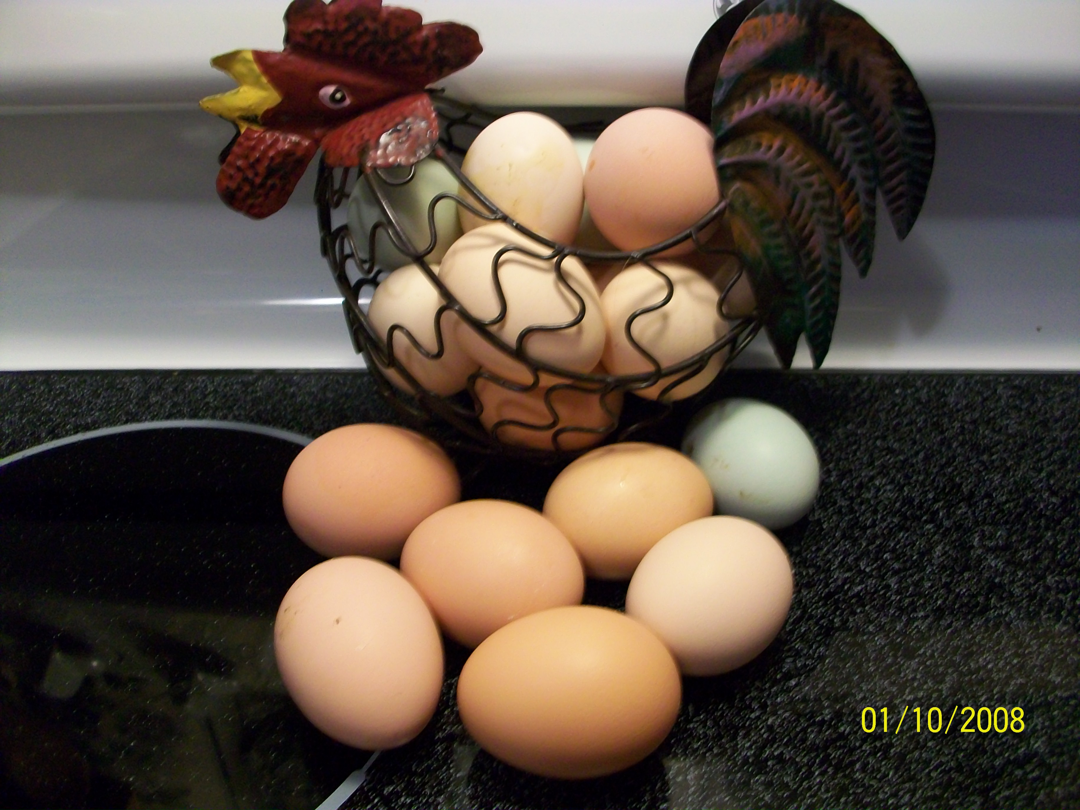 Good collection today!