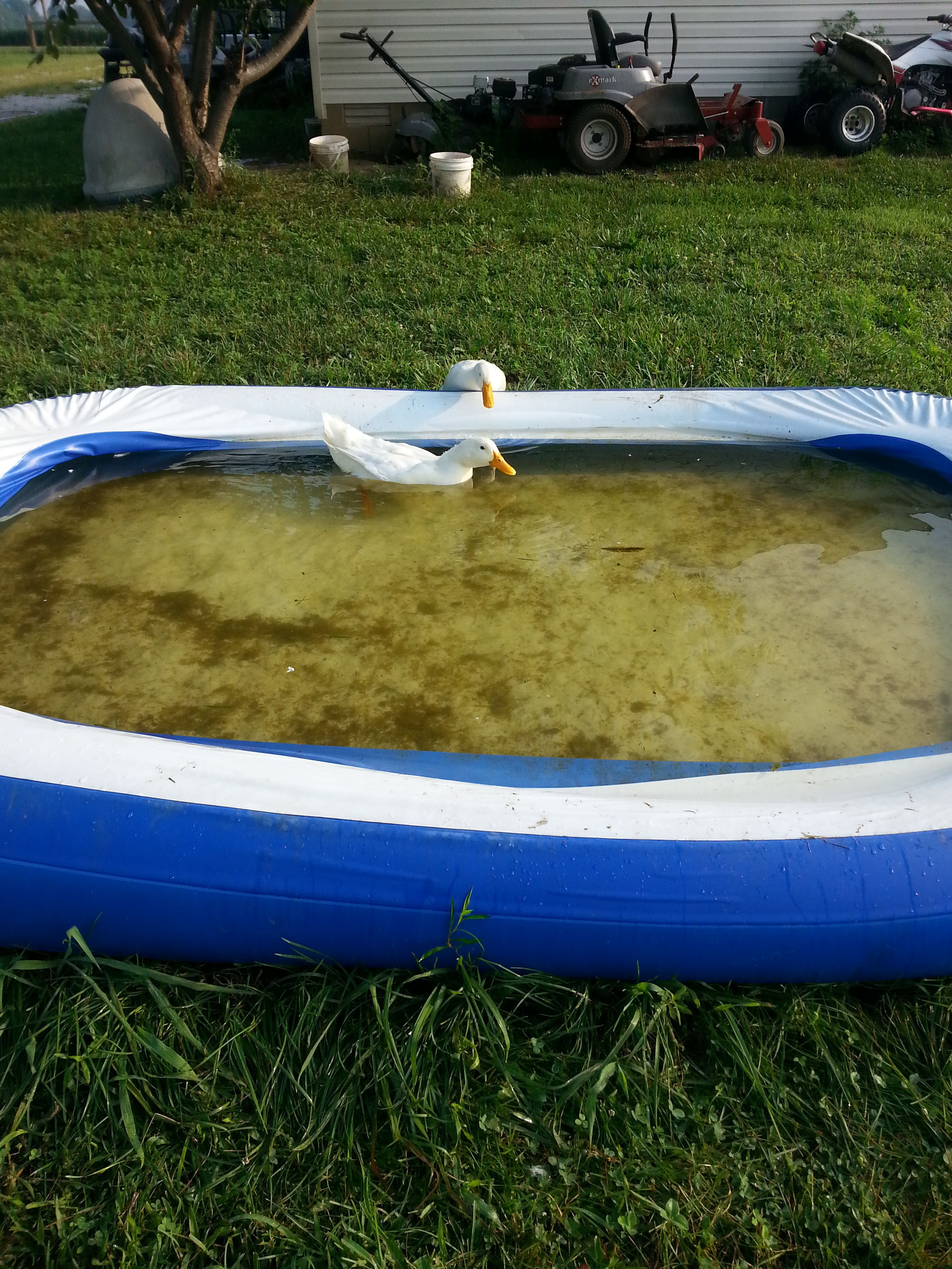 goof cant figure out how to get in.....so i had to help