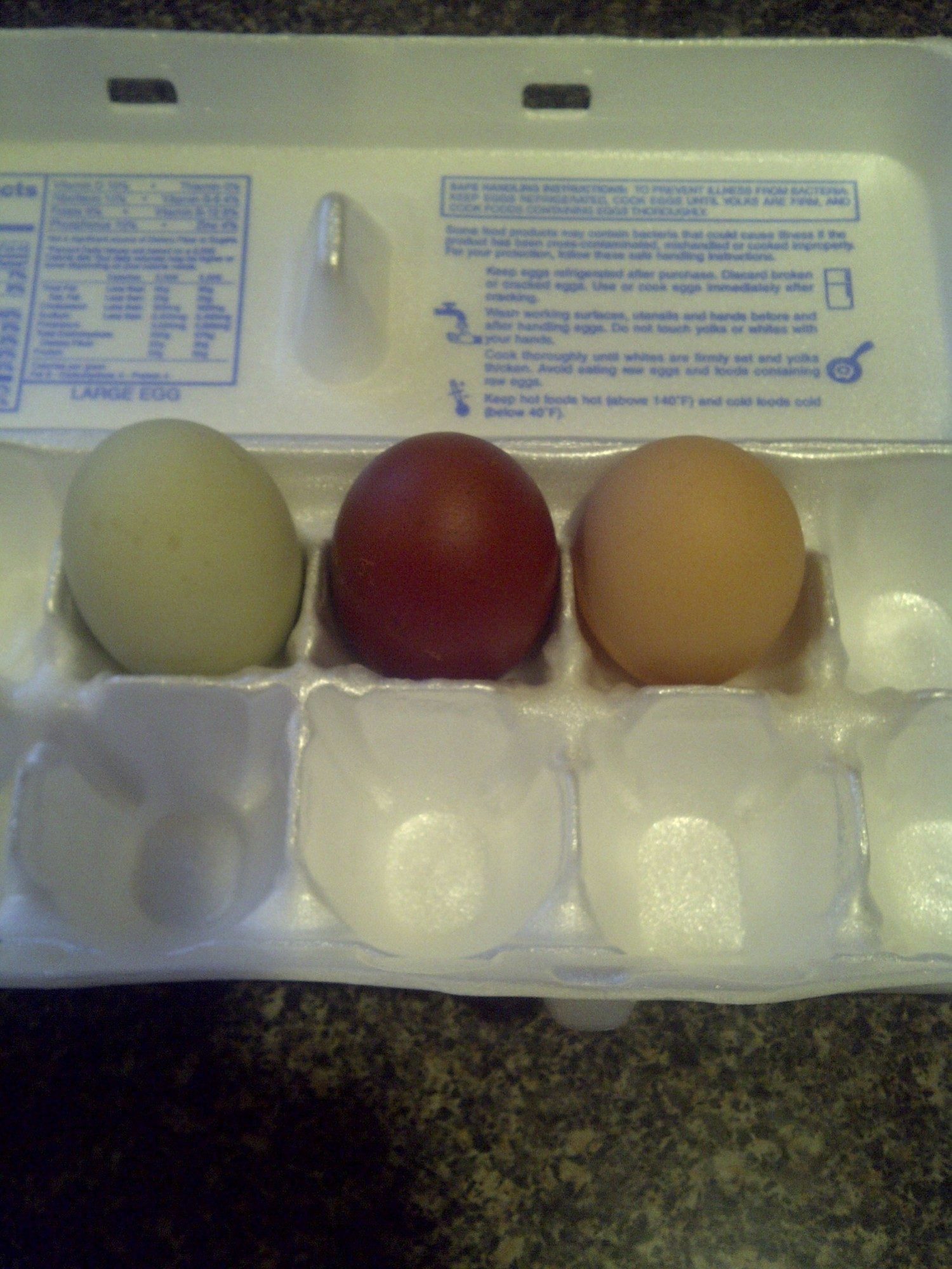 Got another black copper marans egg again today. This one is quite a bit darker than the first one I got and more uniformed (other was speckled). Far right is a RIR egg and far left is from what  I was told is an amerucana, but it looks green to me.Either way I will be hatching some olive eggers and french black copper marans this spring!!!
