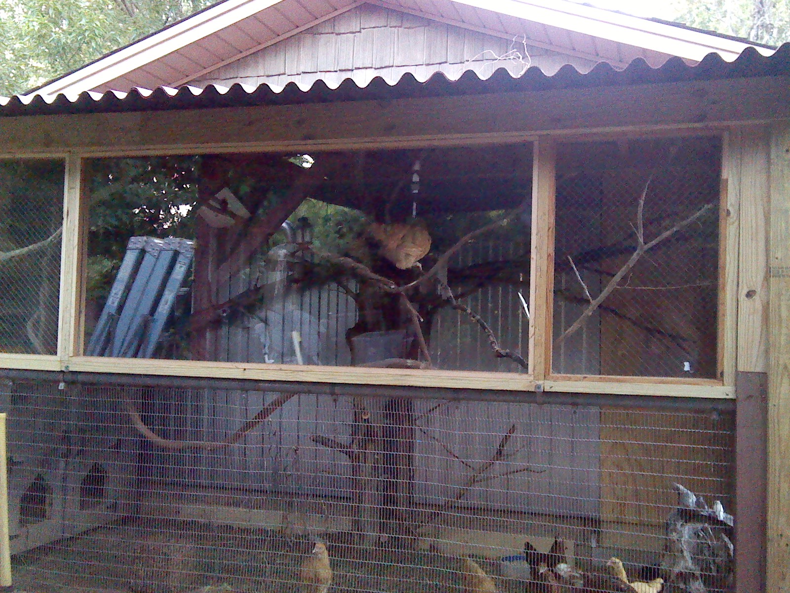 gotta love these bird's