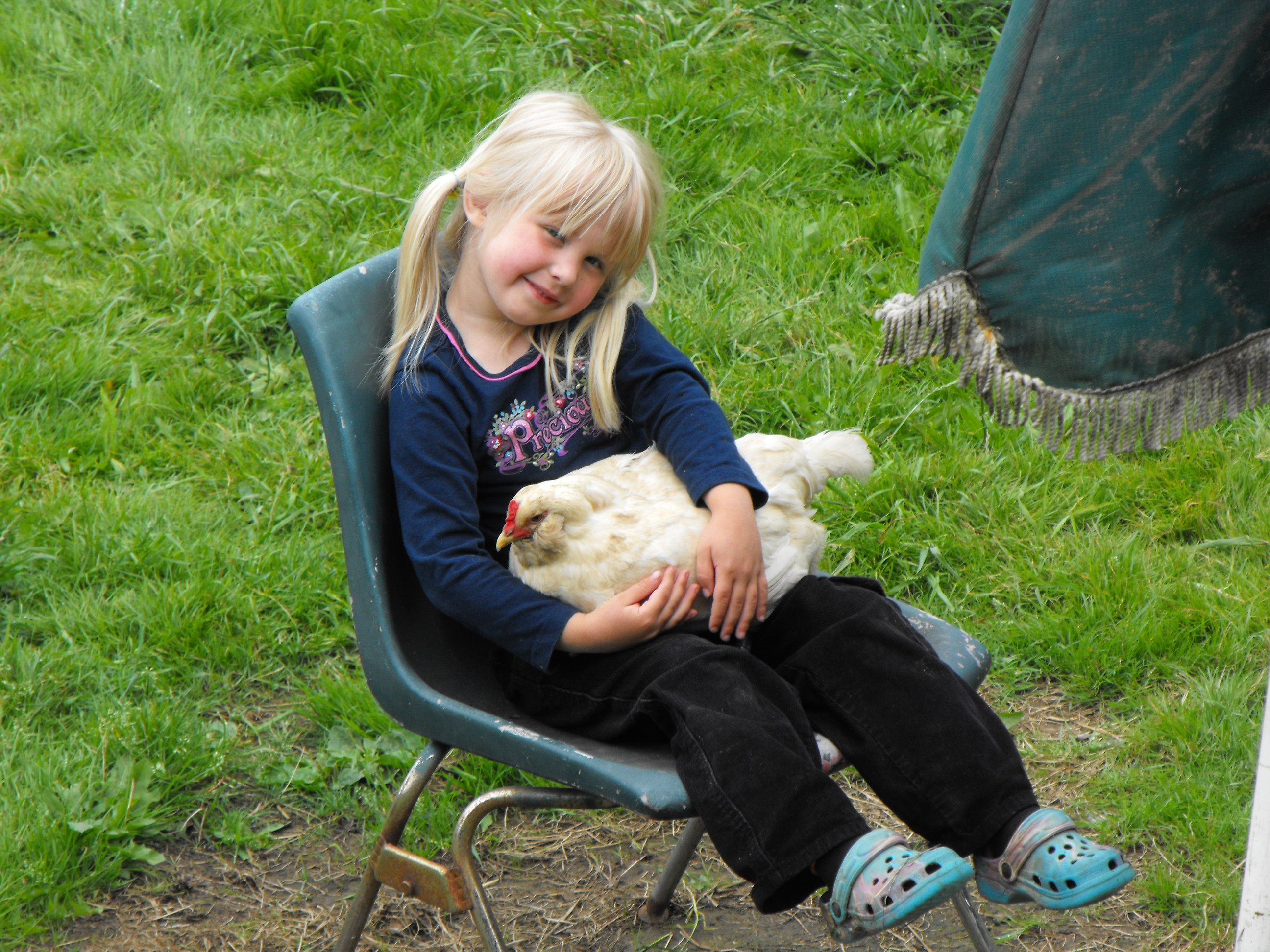 Gracie and her Araucana