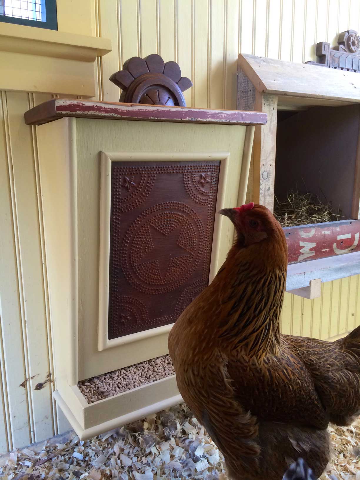 Gracie with new feeder.