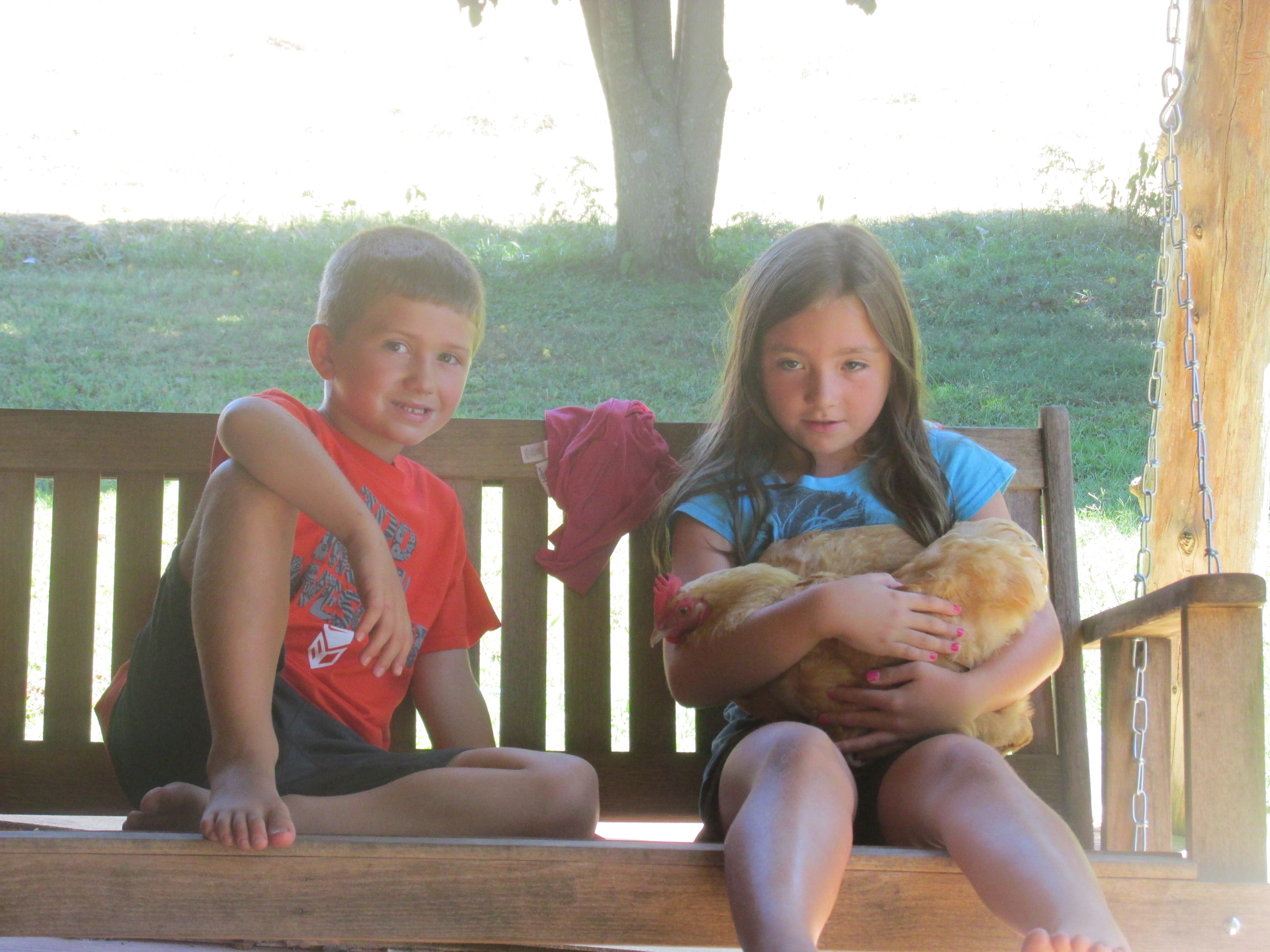 Grandkids with their Buff Orpington hen. Twinkle toes.