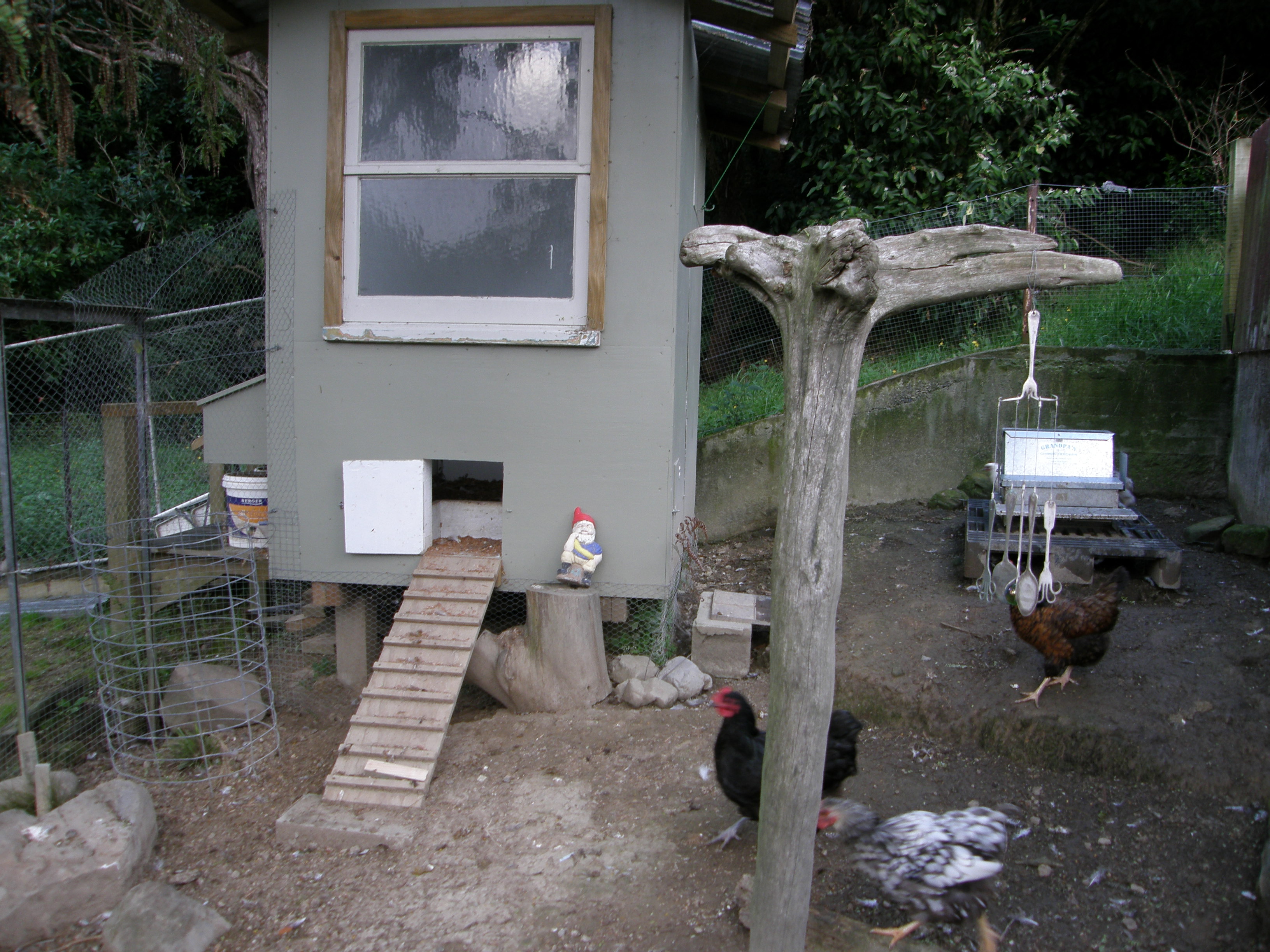 Grandpa's feeder in the background is the best money I spent. Water proof and bird and vermin proof.  We don't have big pests in New Zealand to worry about.