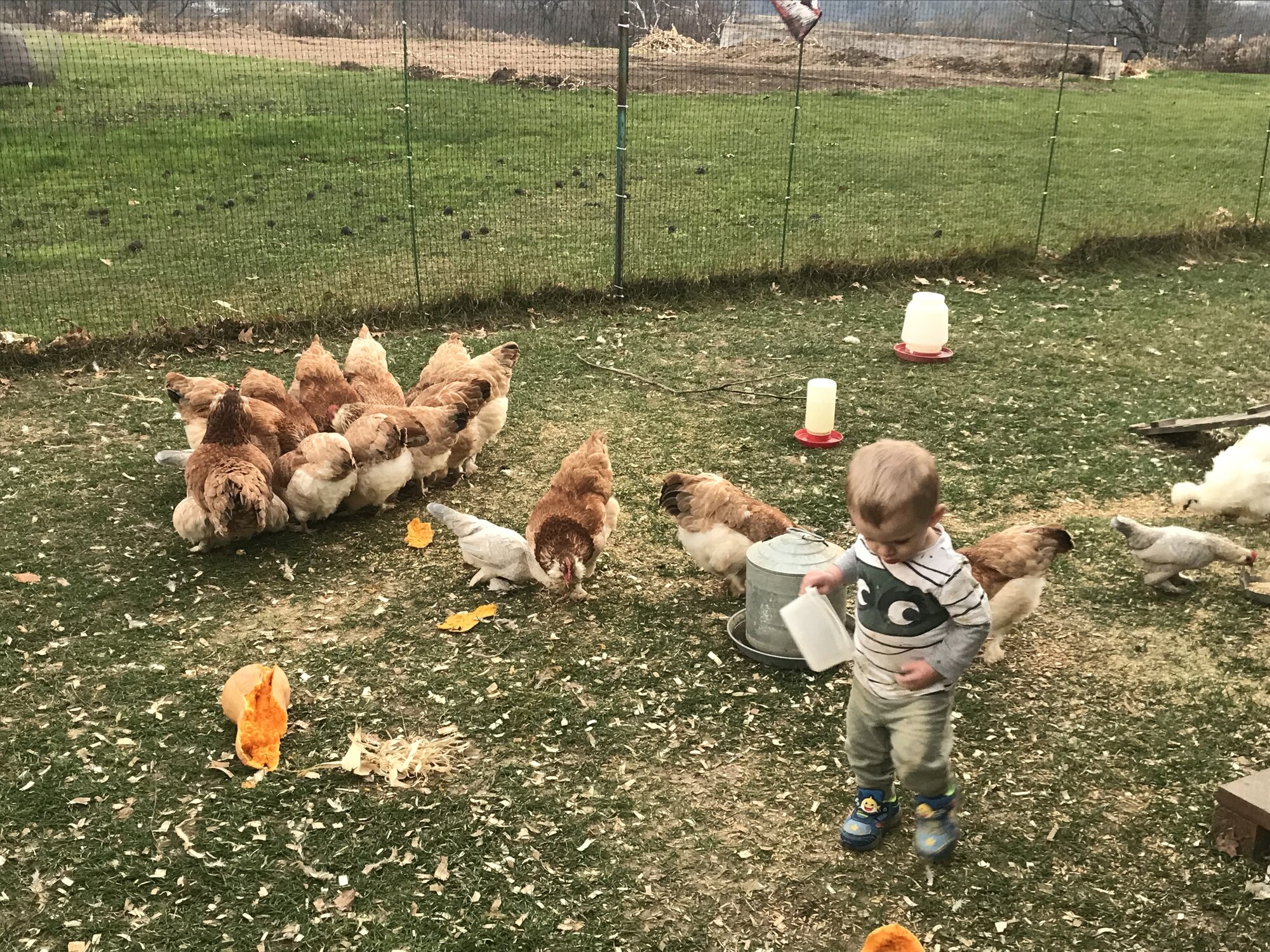 Grandson Weston