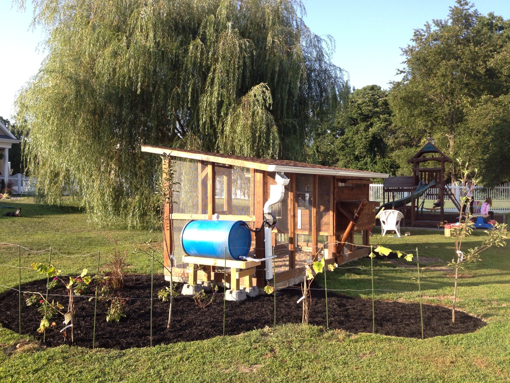 Grape trellis