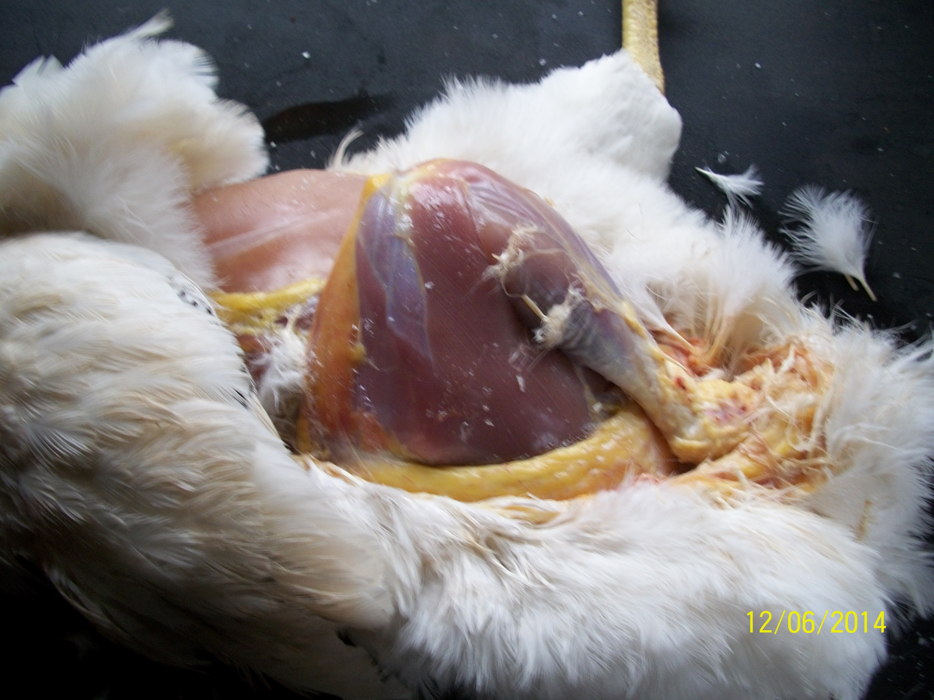 Grasp both sides of the skin from the side cuts and pull hard, then pull the skin on down the legs, just like the leg of a pair of pants.