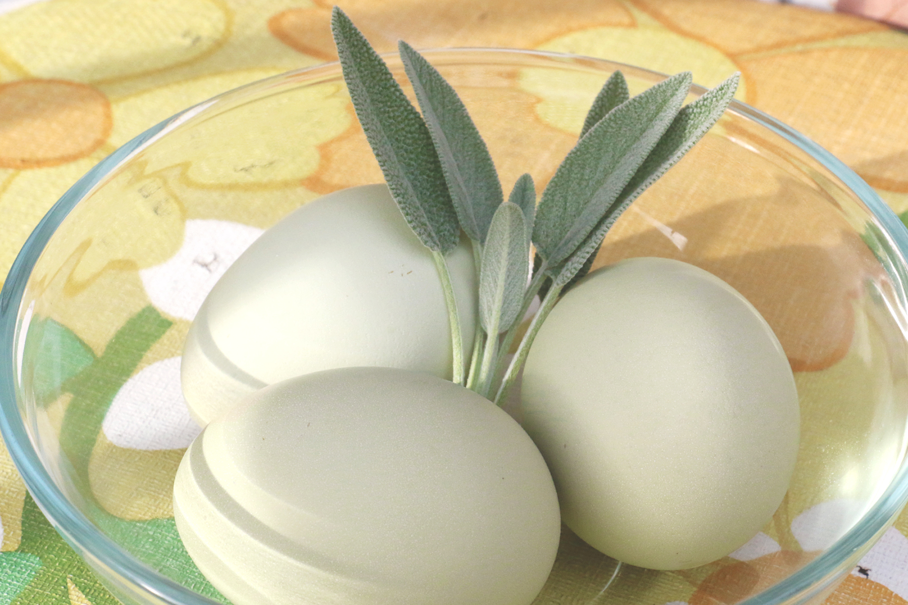 Green Eggs, No Ham!