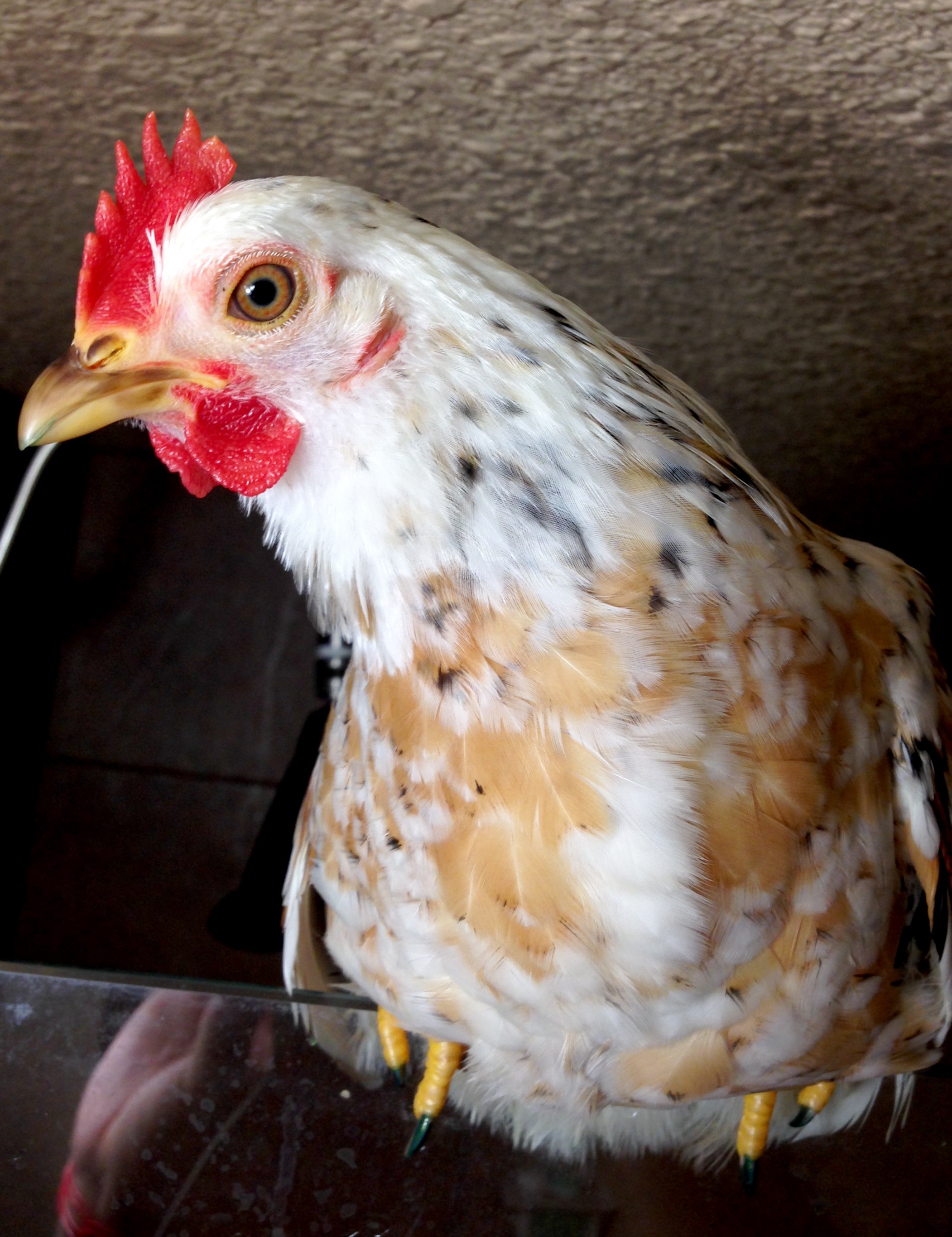 Green painted nails!