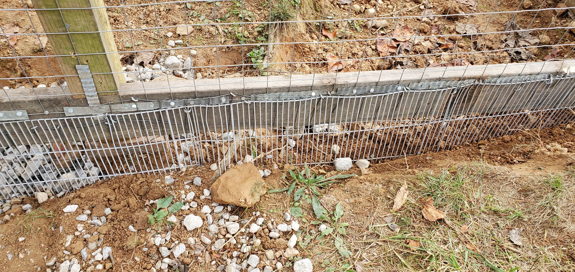 Grid bent around a tree root