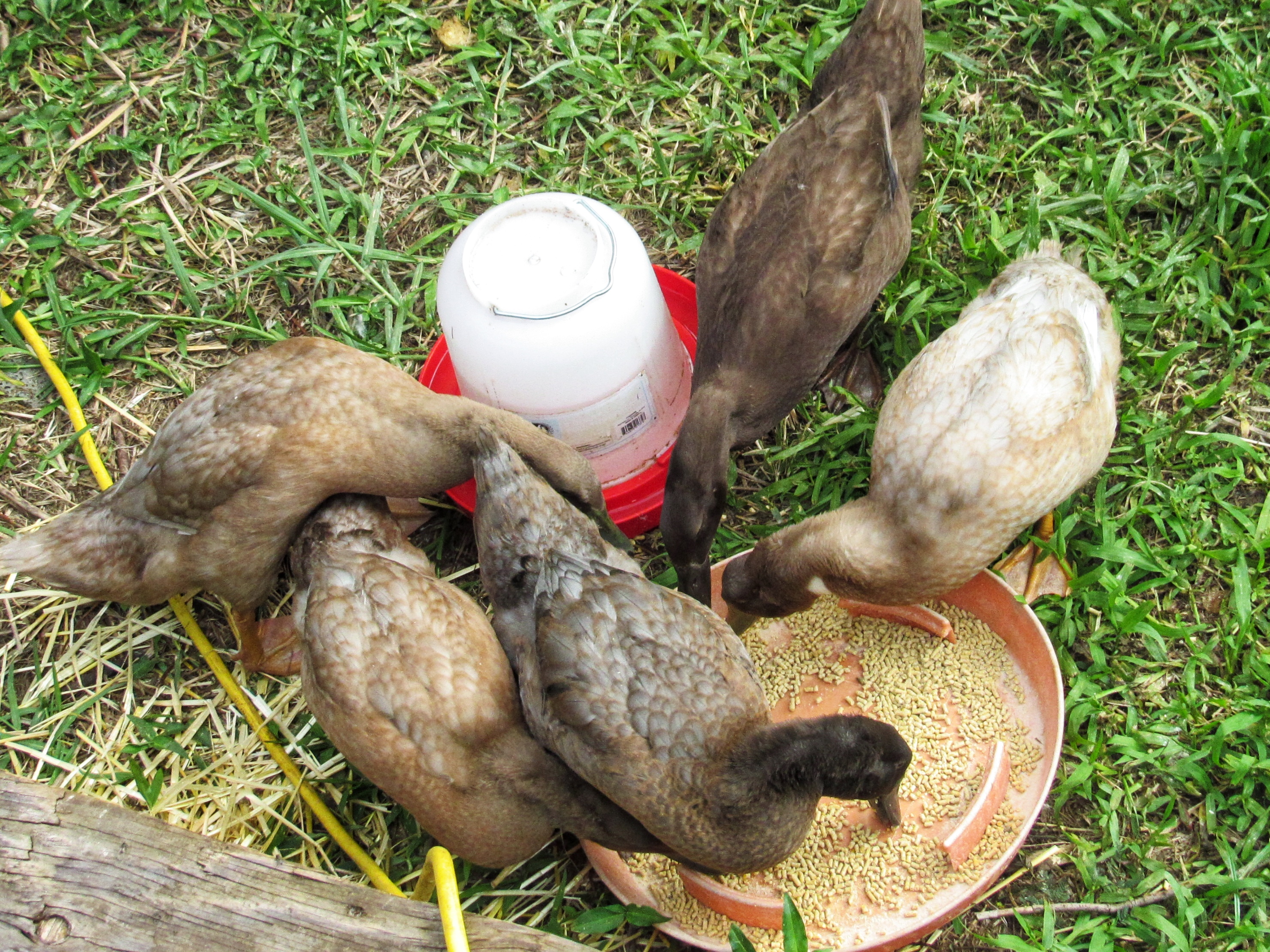 Group photo!