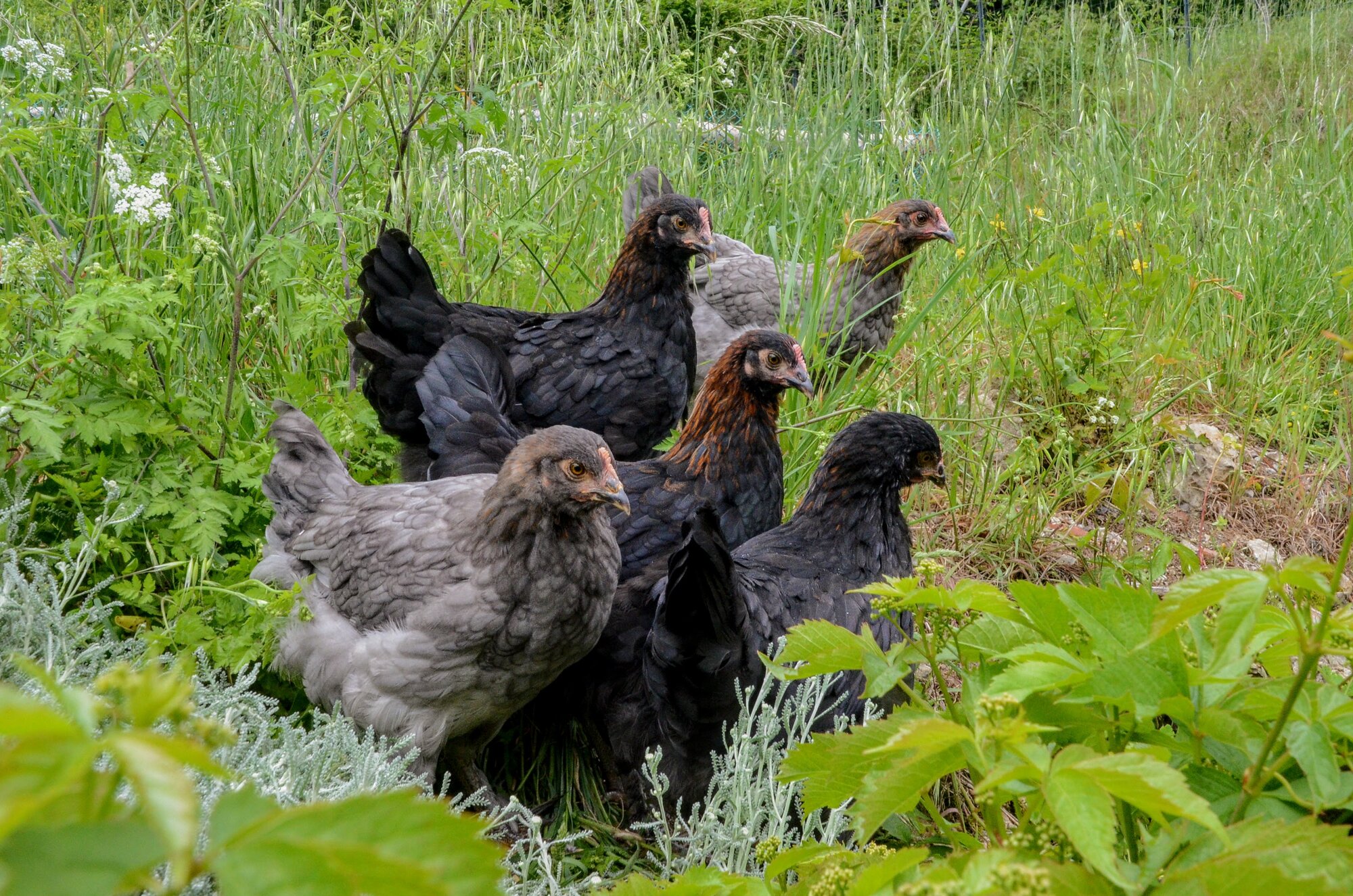 group pic