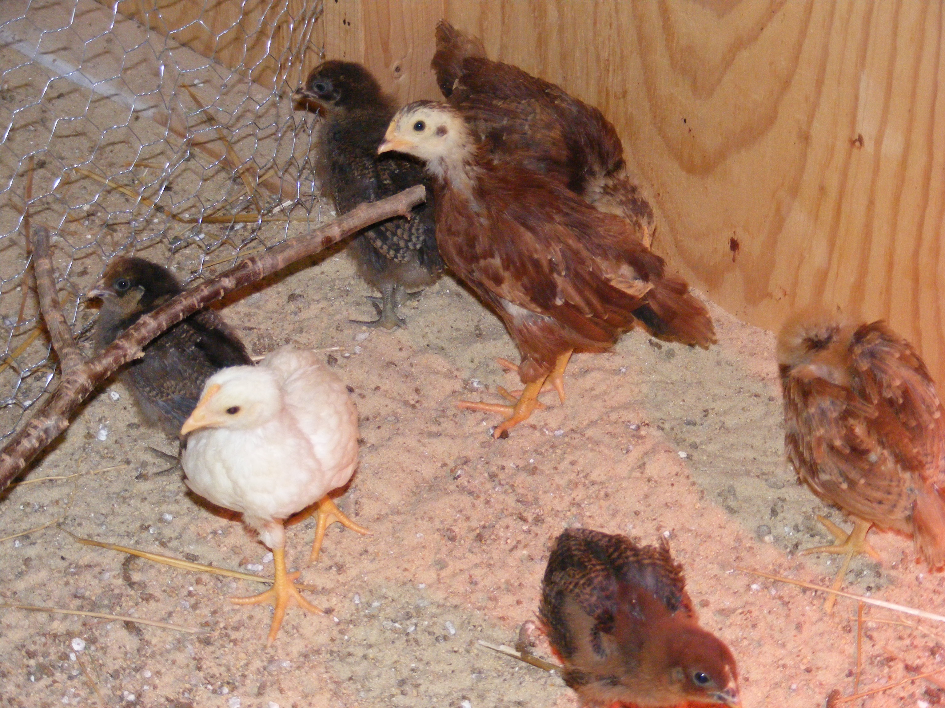 Growing & Growing...