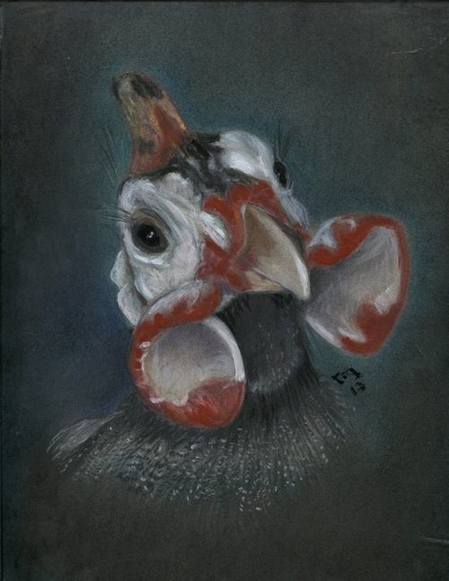 Guinea Portrait