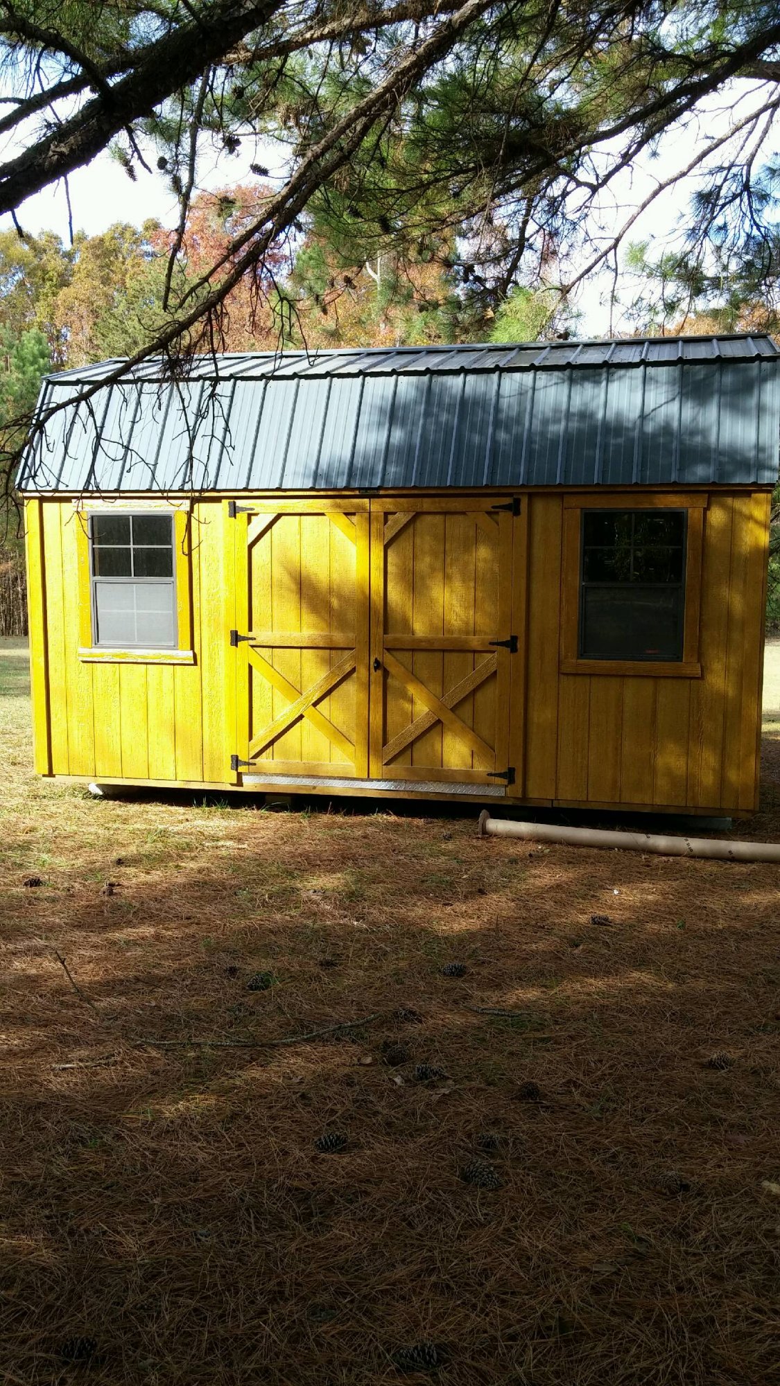 Guinea&Silkie Barn