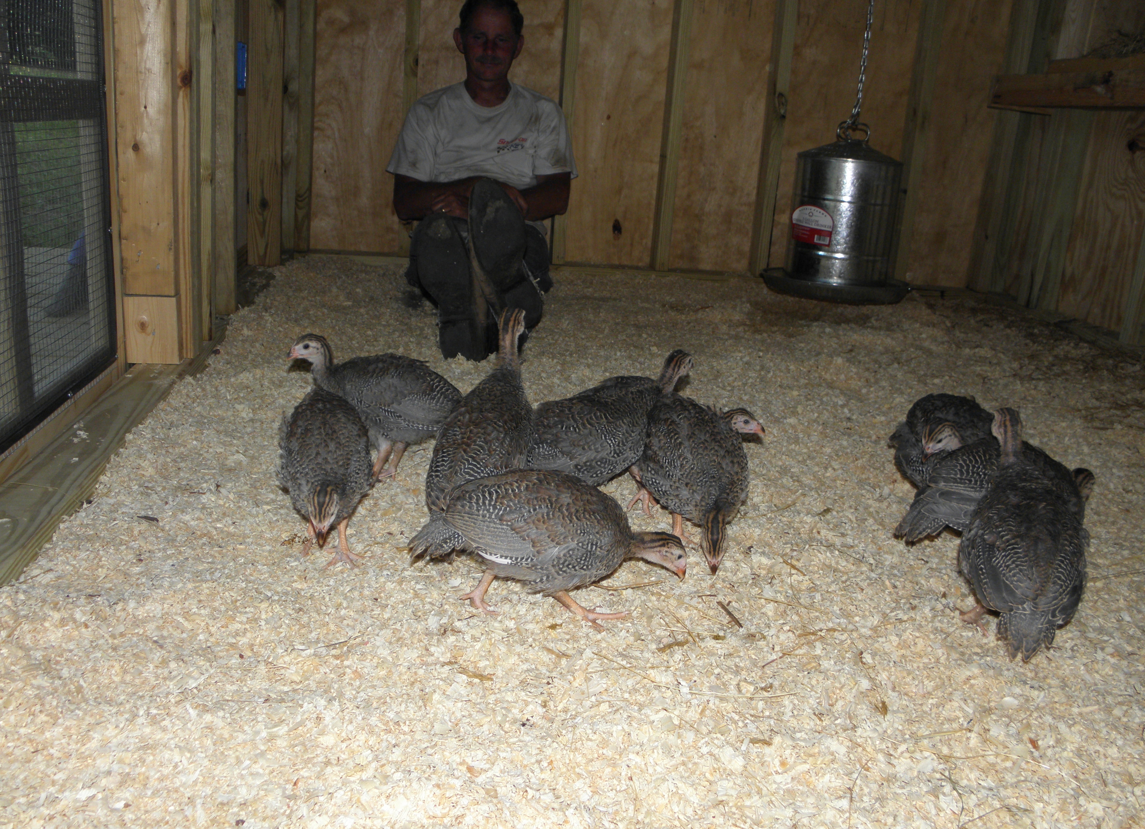 Gunieas checking out the front door and Brian.