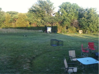 Half of the yard with view of coop and duck house in the back.