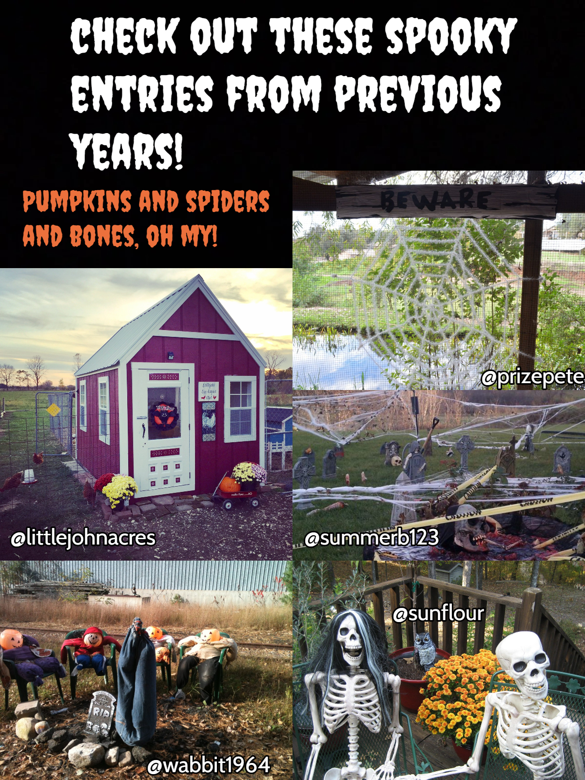 halloween decorations2.jpg