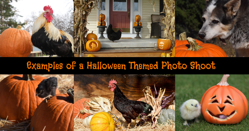 Halloween themed examples (2).png