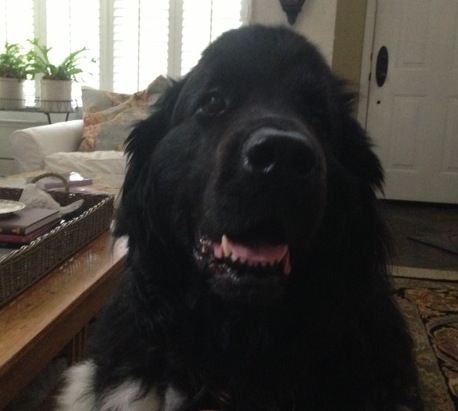 Hamming for the camera.
